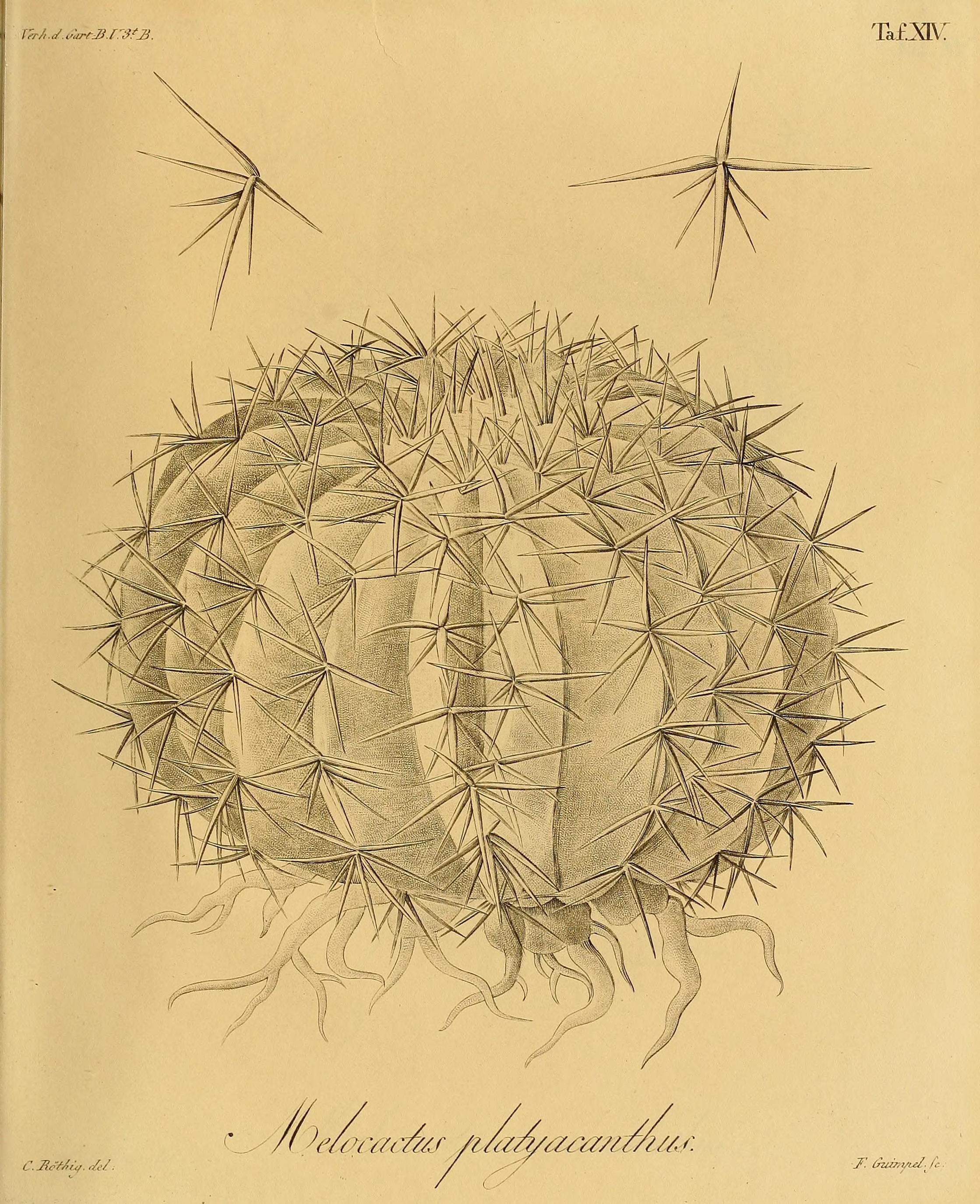 no full size  illustration available (3a)