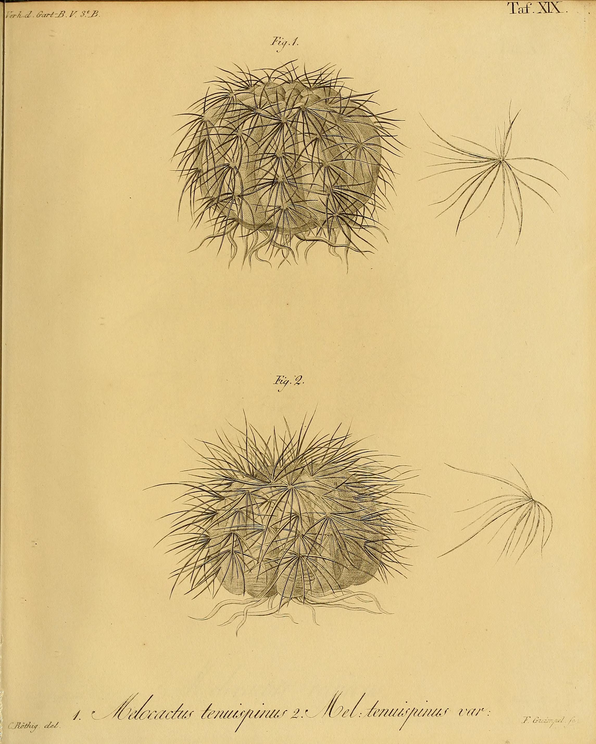 no full size  illustration available (3a)