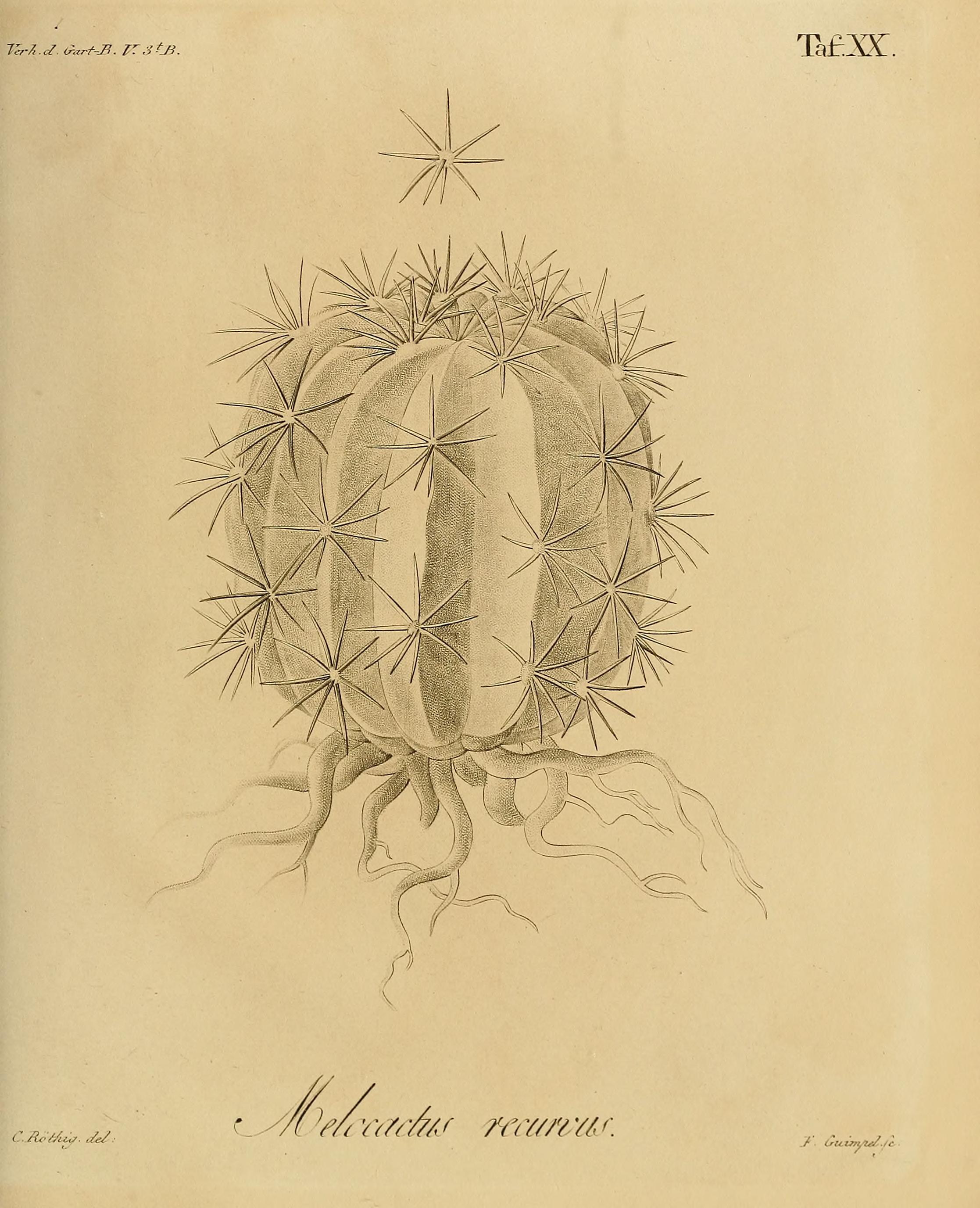 no full size  illustration available (3a)