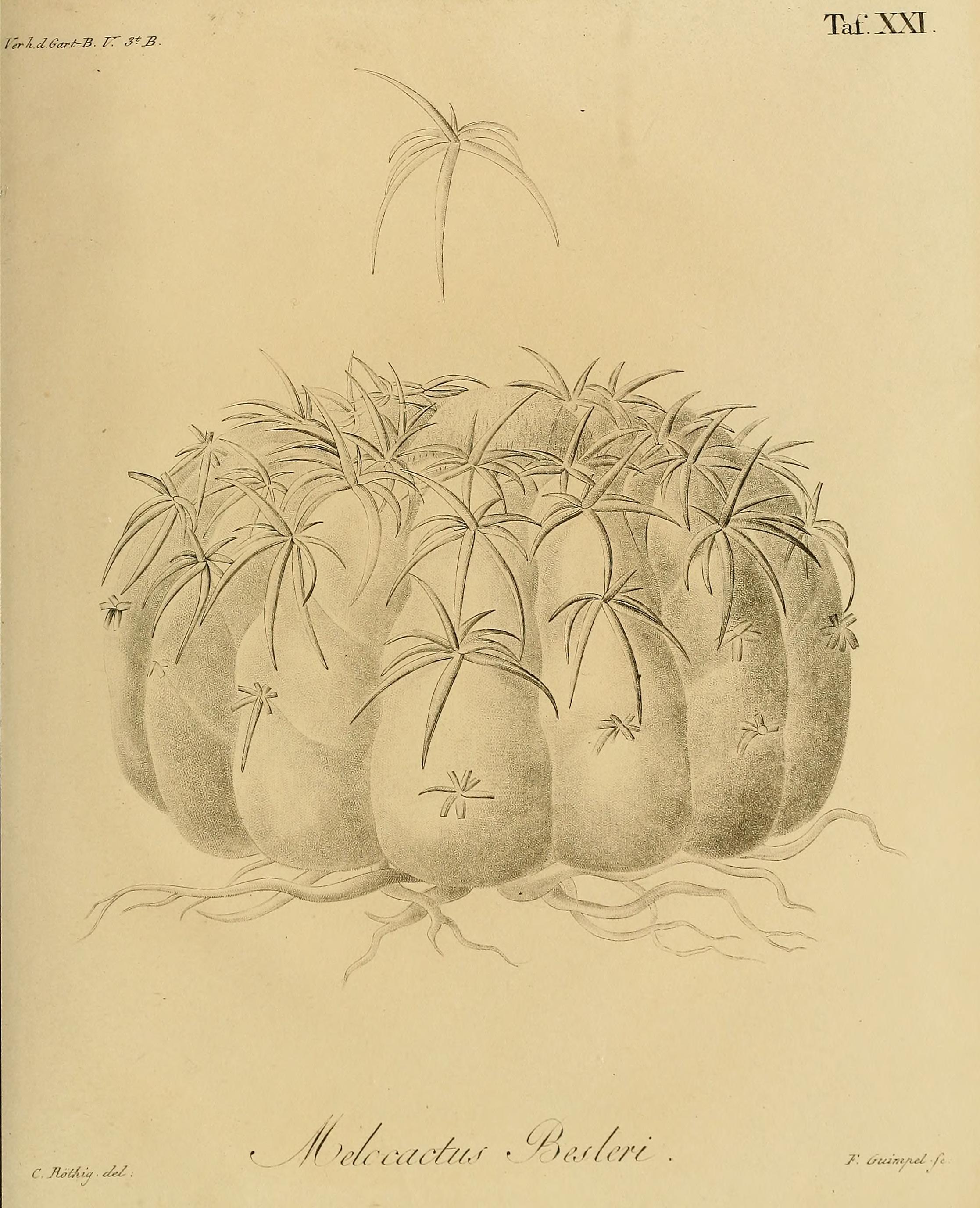 no full size  illustration available (3a)