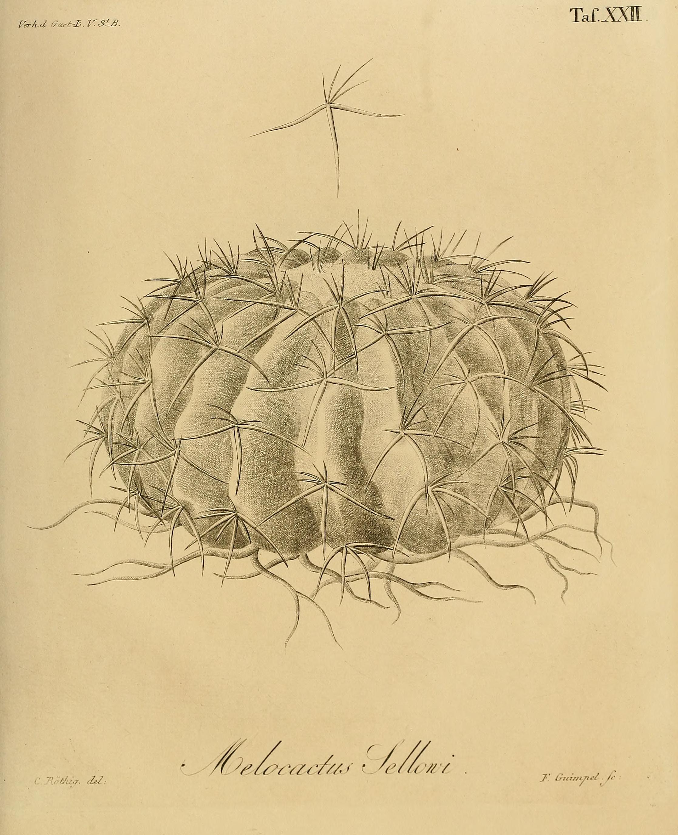 no full size  illustration available (3a)