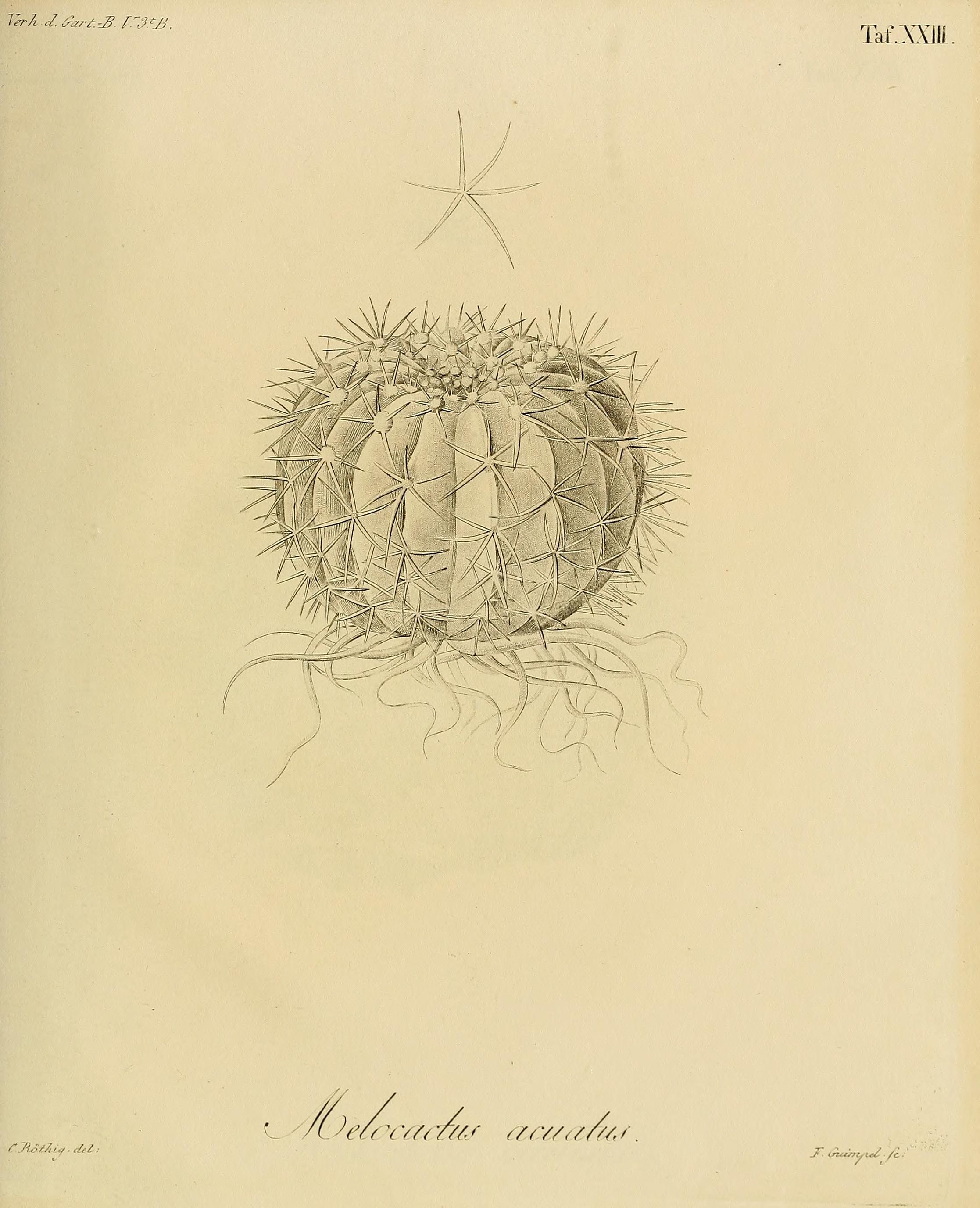 no full size  illustration available (3a)