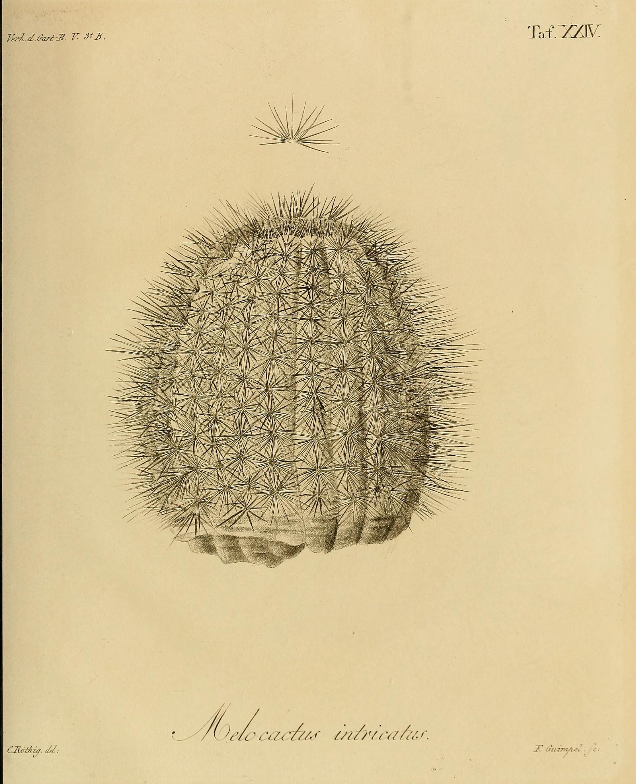 no full size  illustration available (3a)