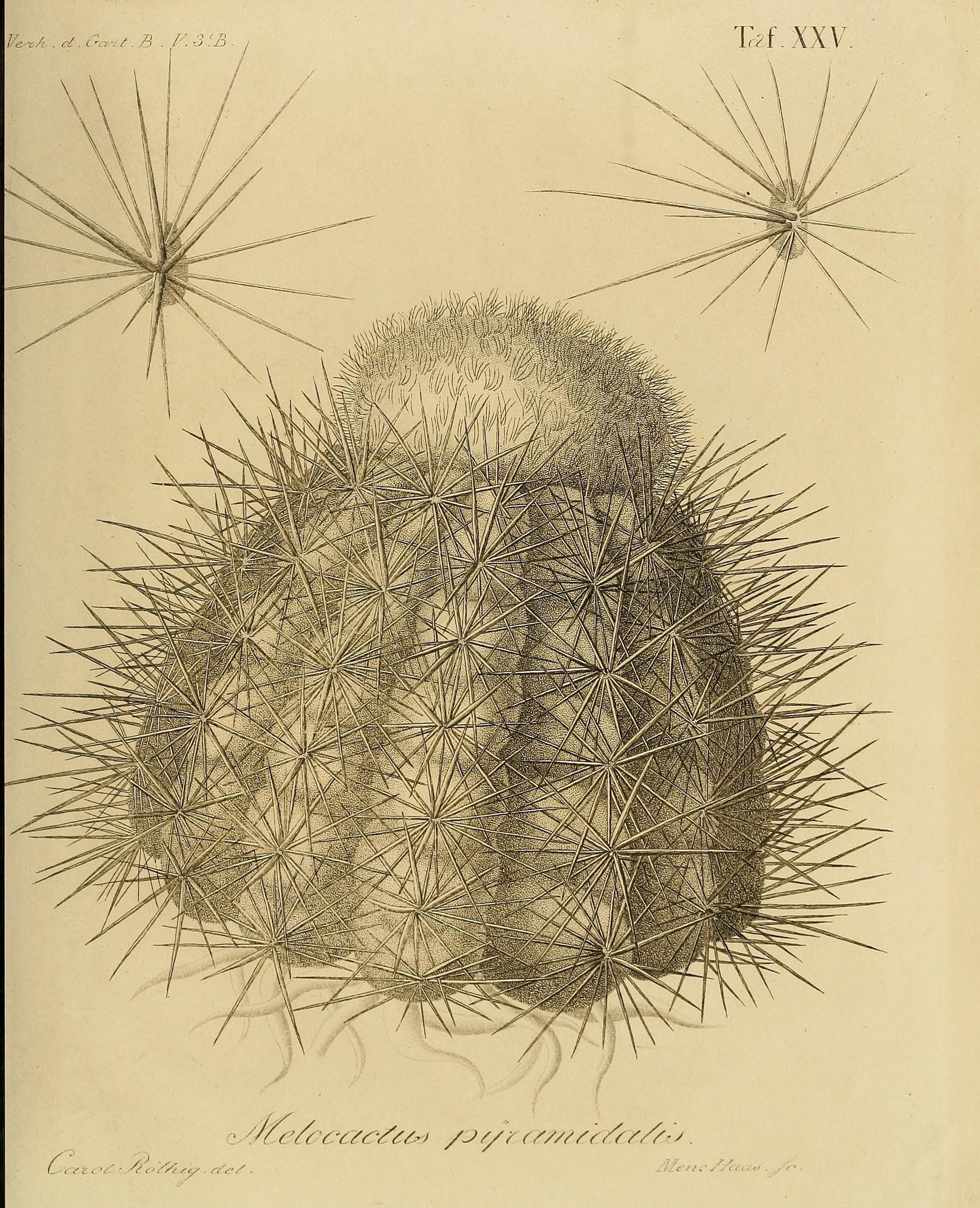 no full size  illustration available (3a)