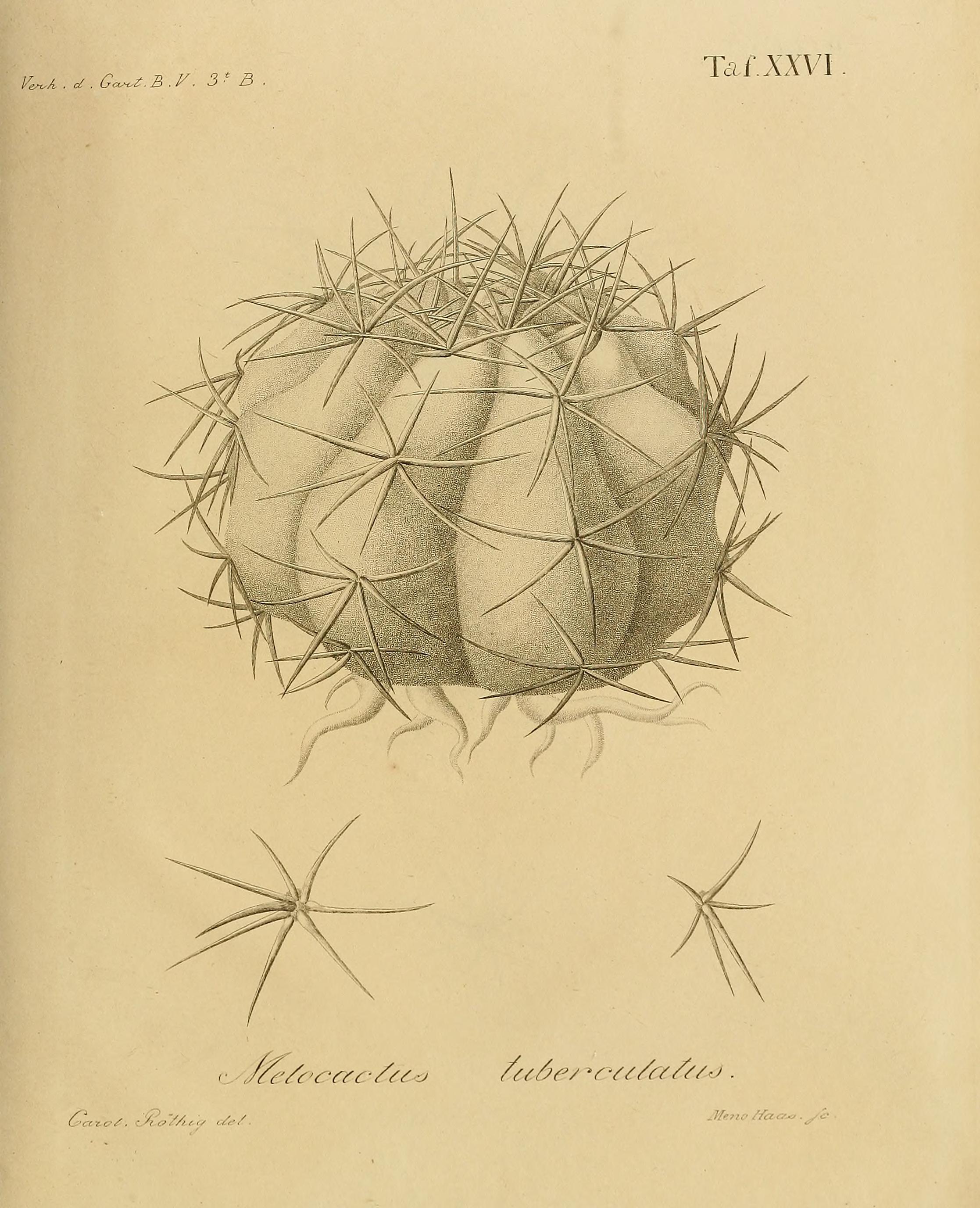 no full size  illustration available (3a)