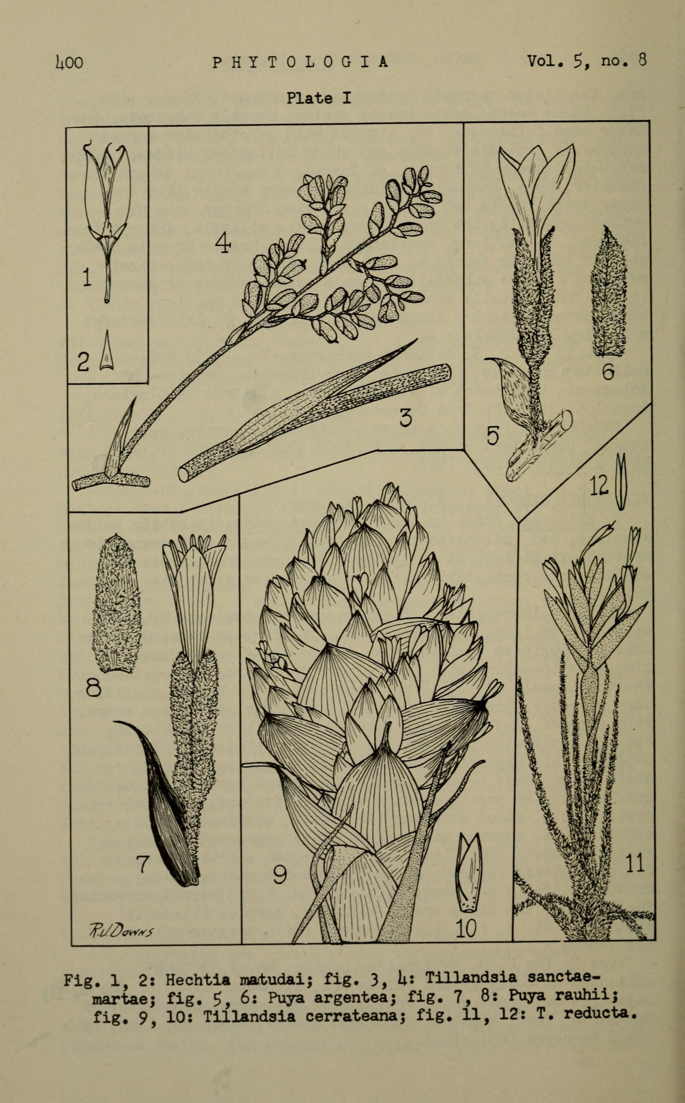 no full size  illustration available (3a)