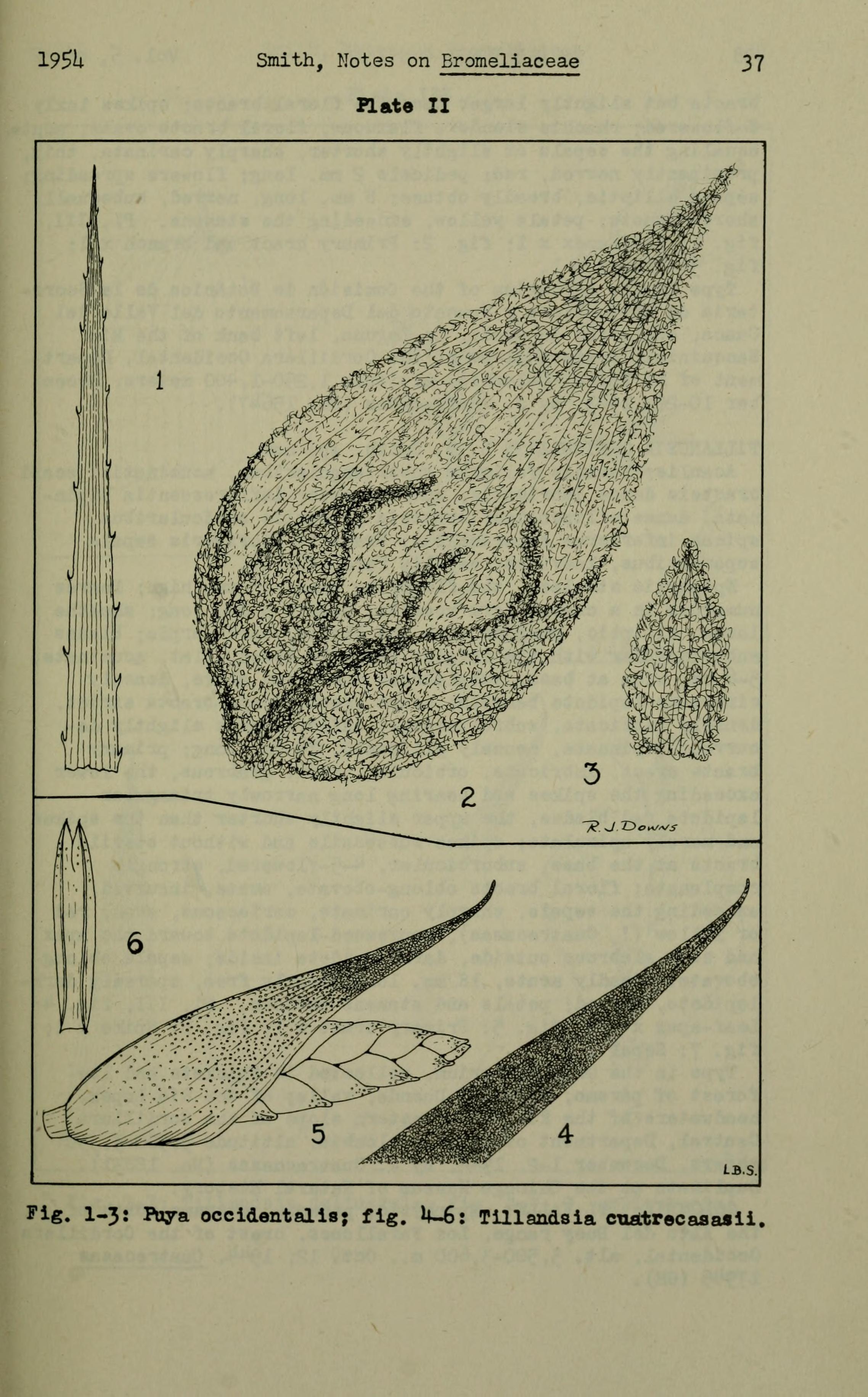 no full size  illustration available (3a)