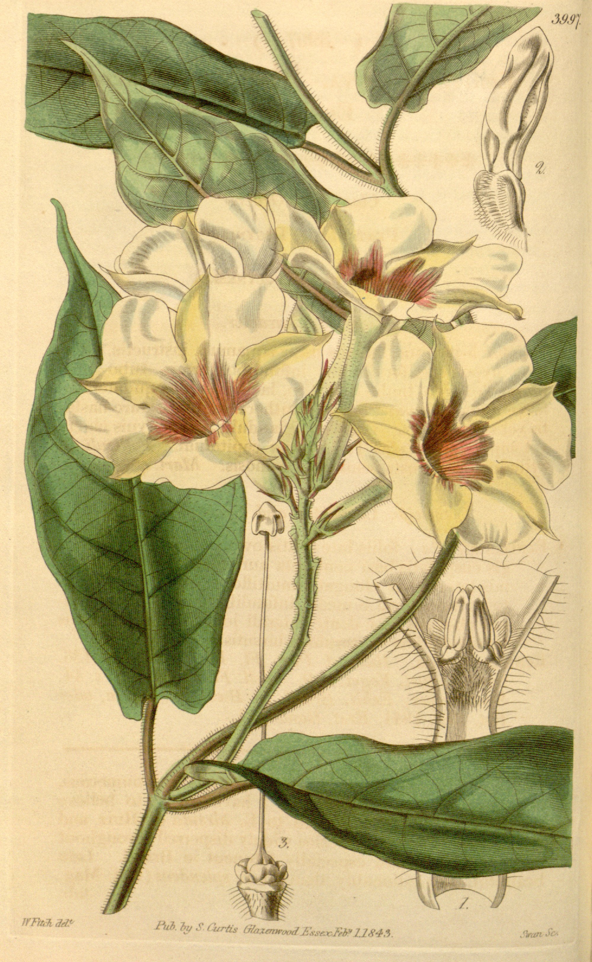 no full size  illustration available (3a)