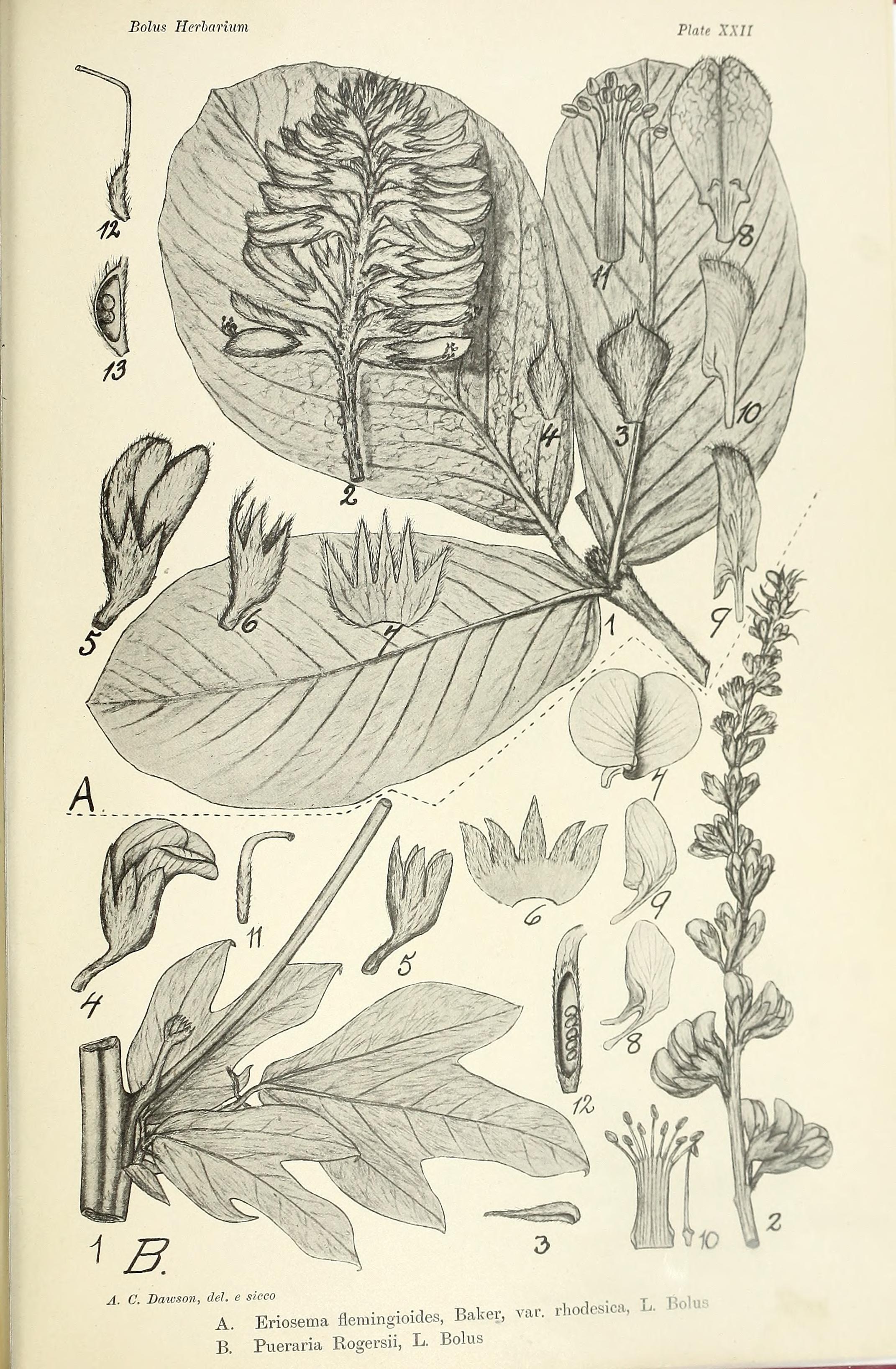 no full size  illustration available (3a)