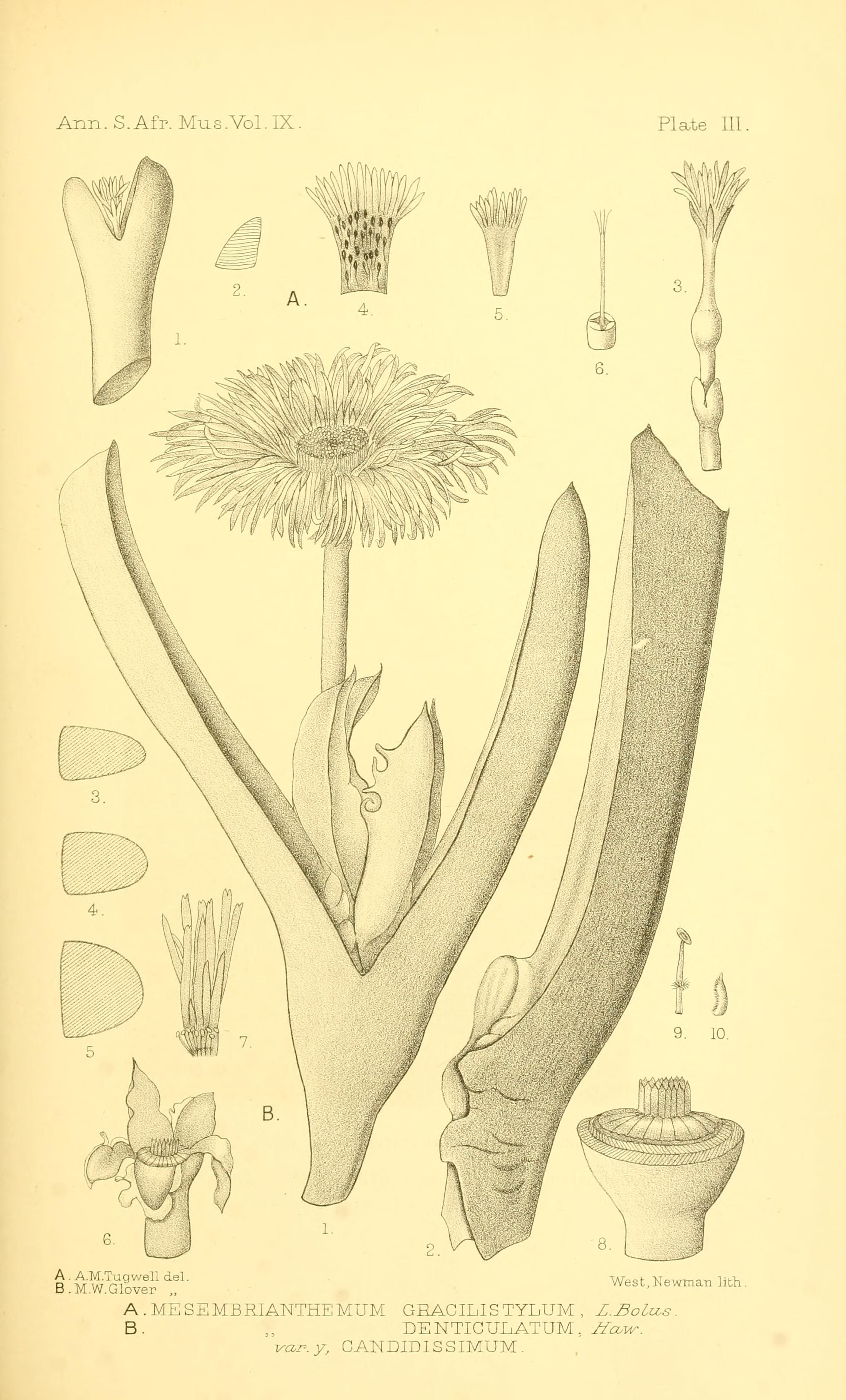 no full size  illustration available (3a)