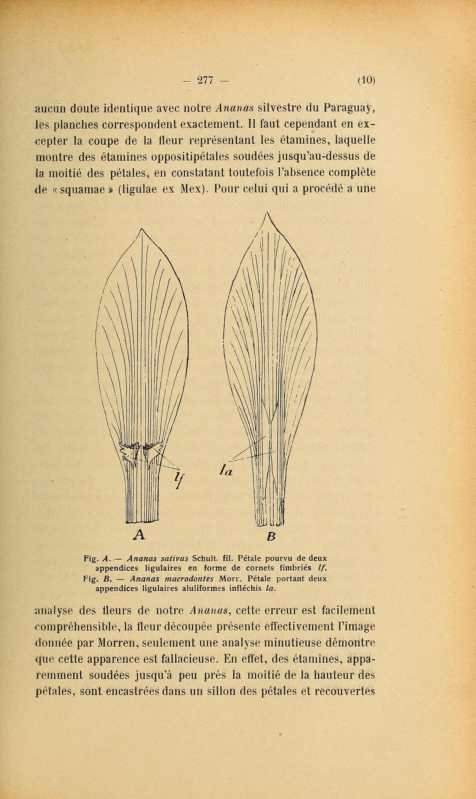 no full size  illustration available (3a)