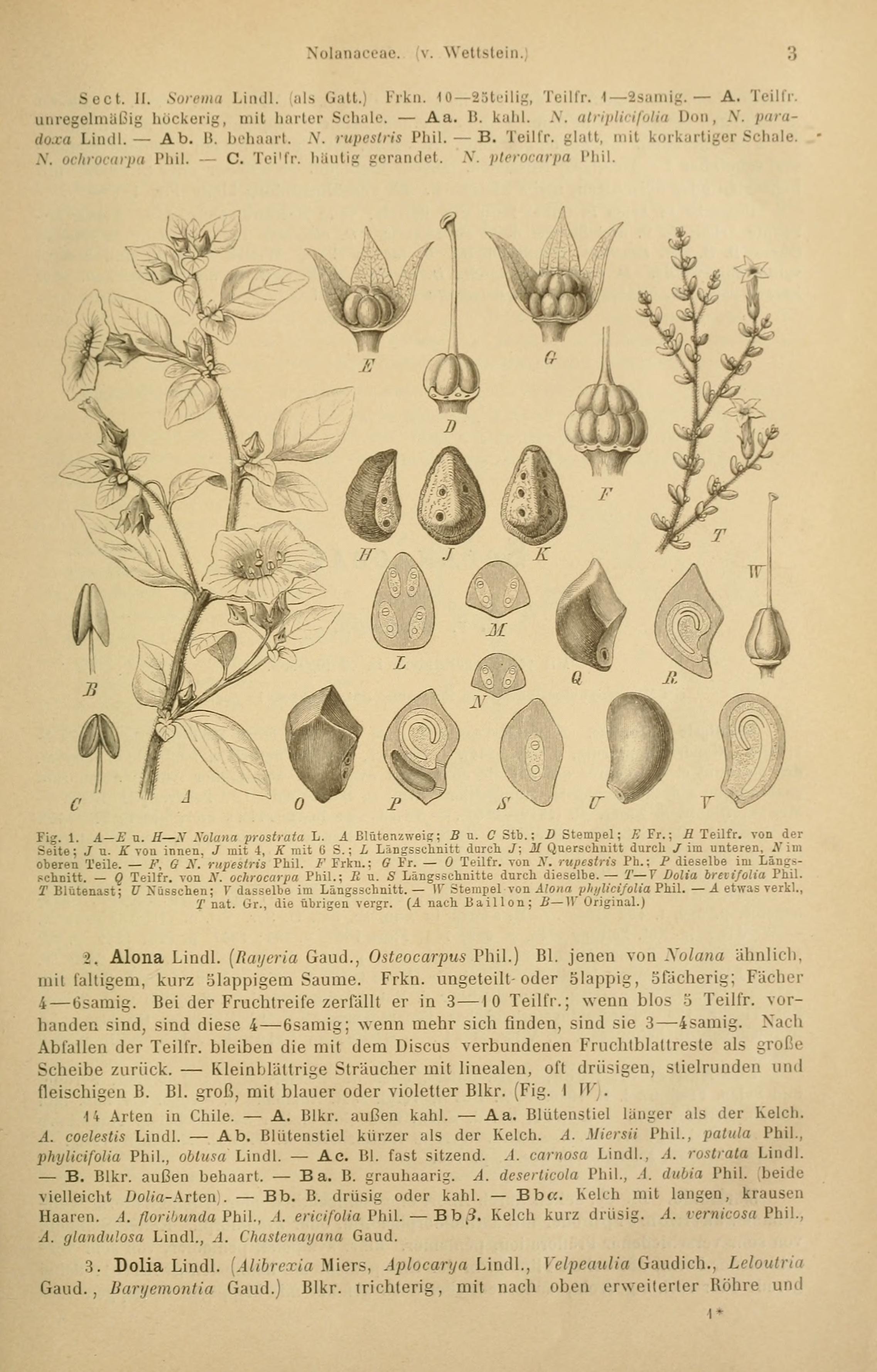 no full size  illustration available (3a)