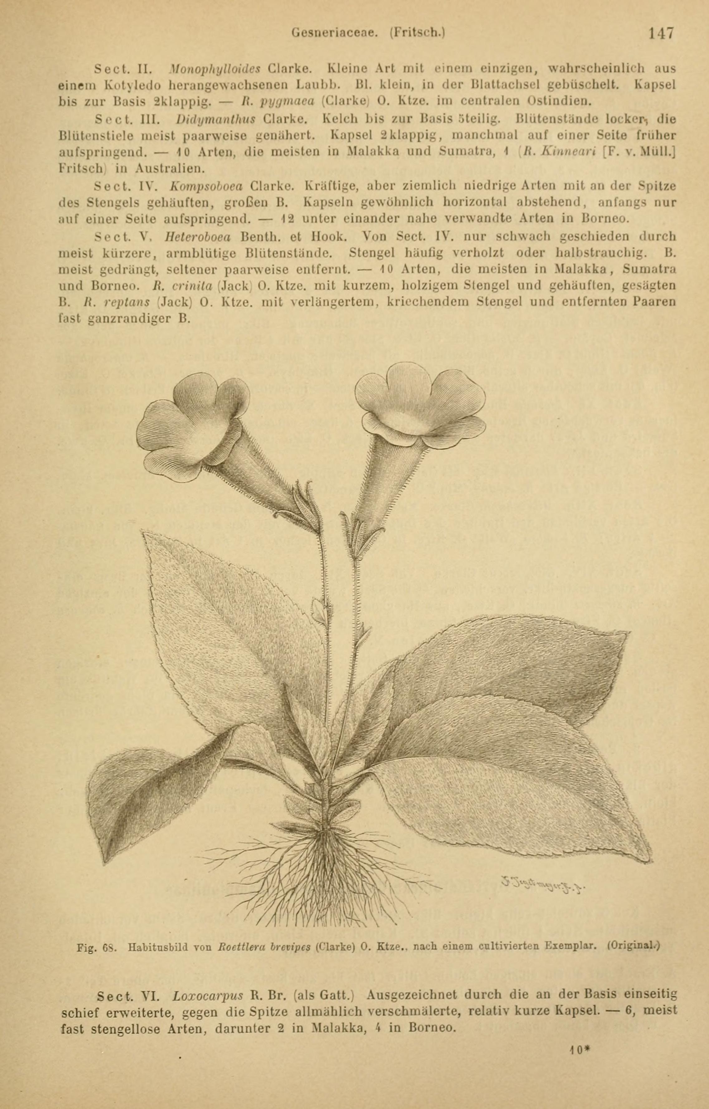 no full size  illustration available (3a)