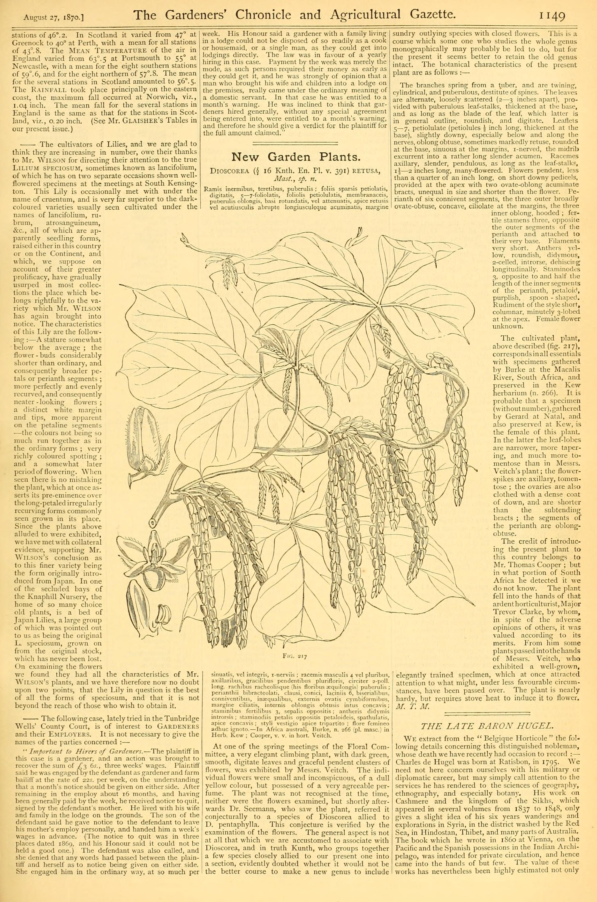 no full size  illustration available (3a)