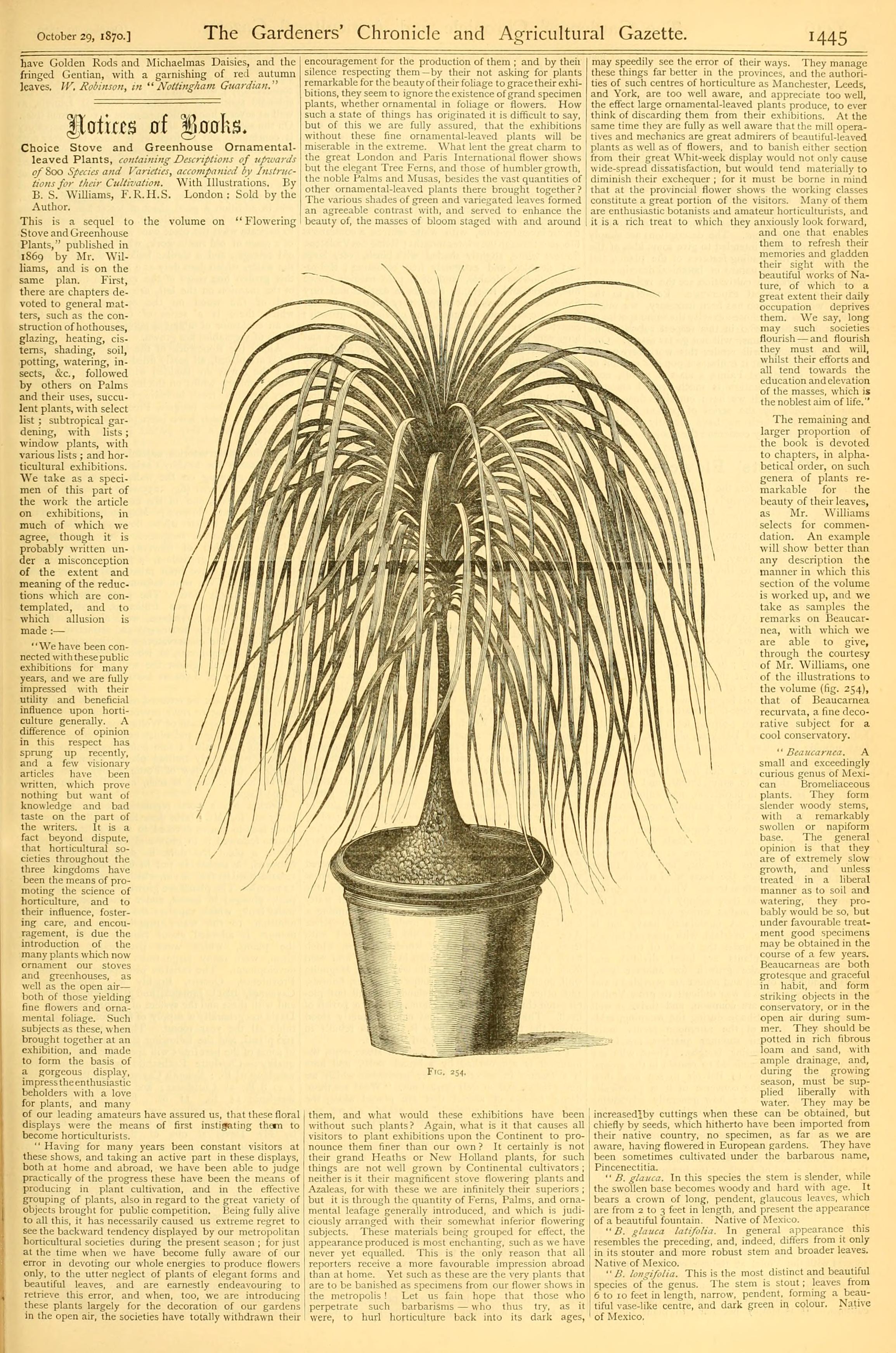 no full size  illustration available (3a)