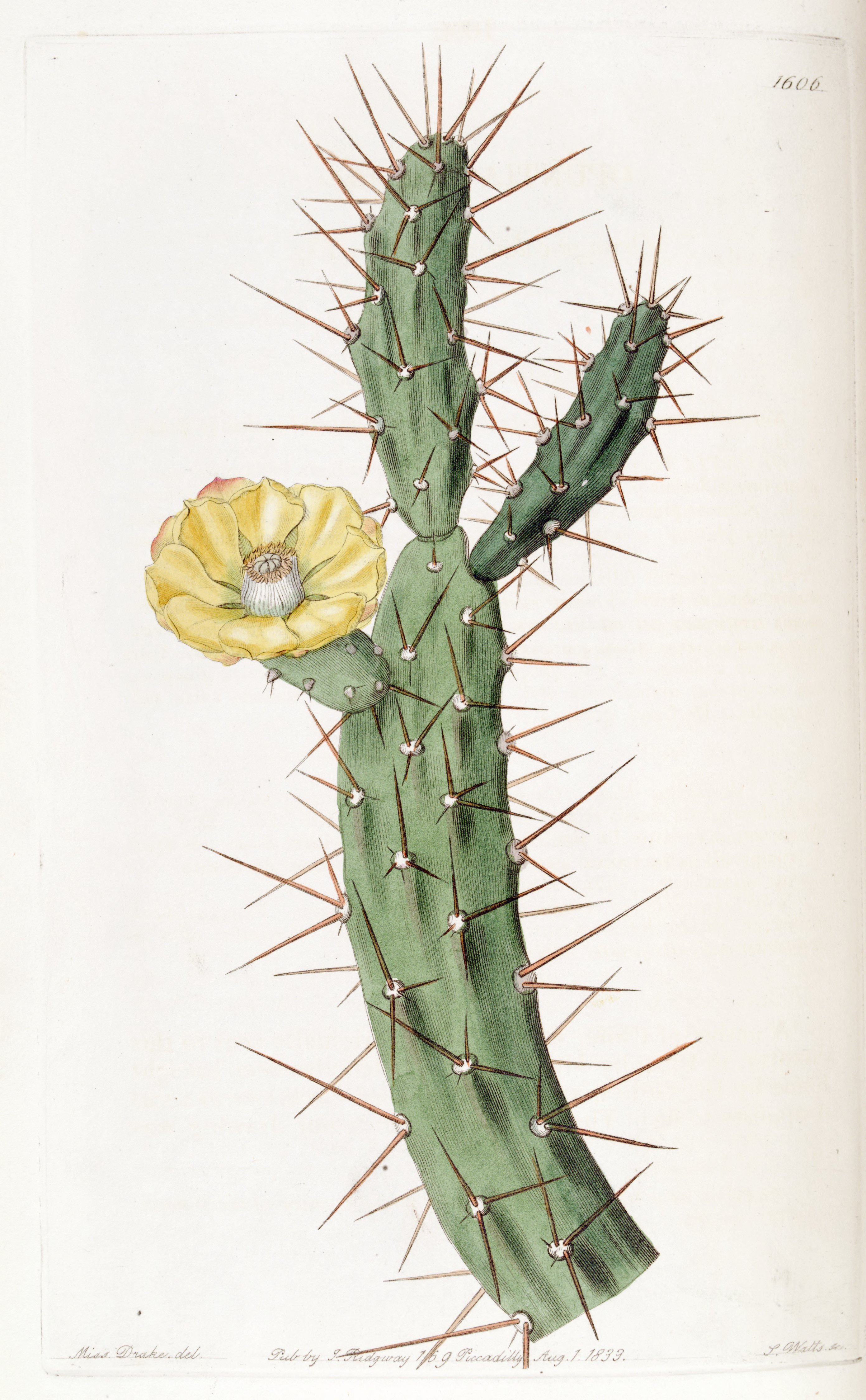 no full size  illustration available (3a)