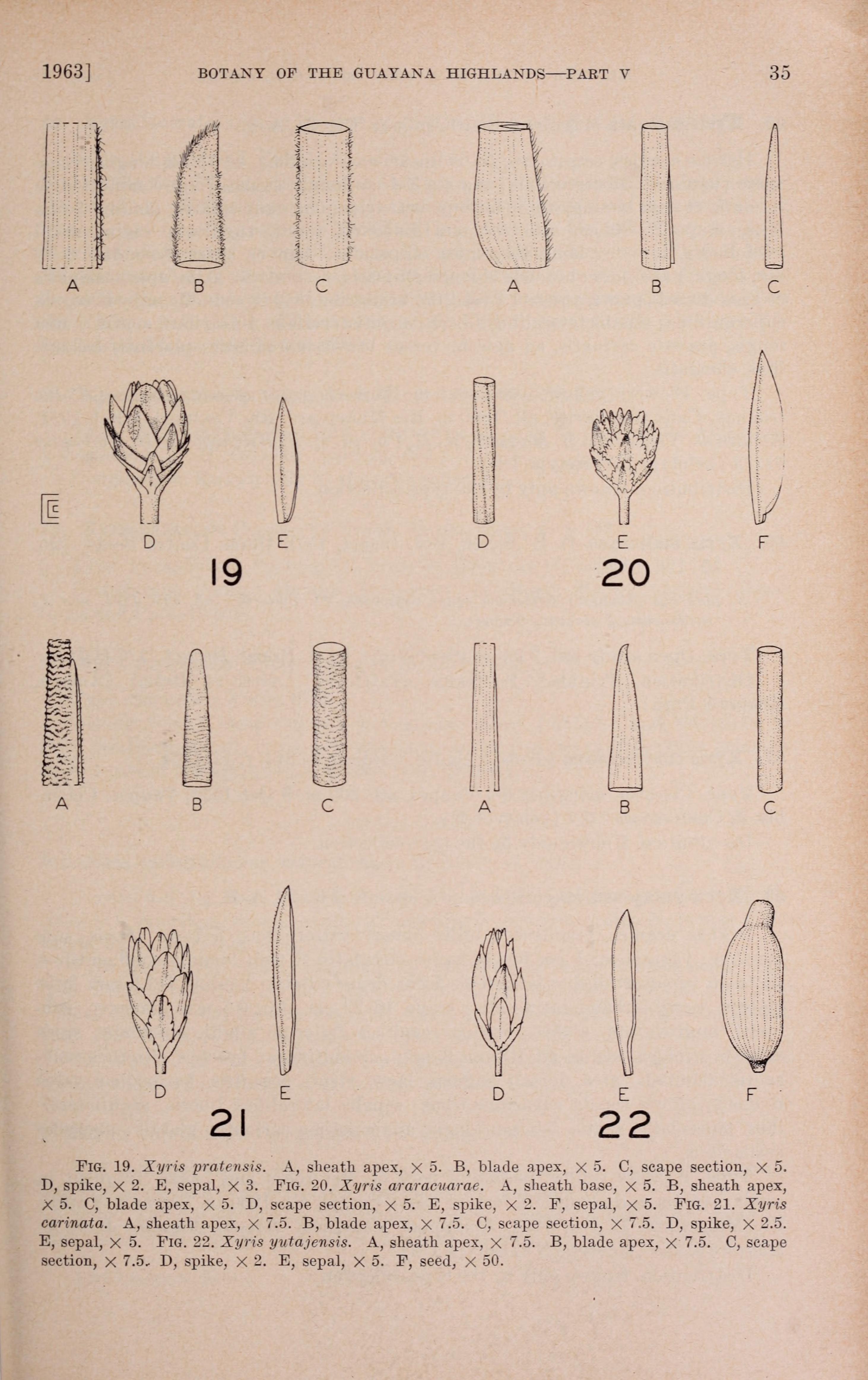 no full size  illustration available (3a)