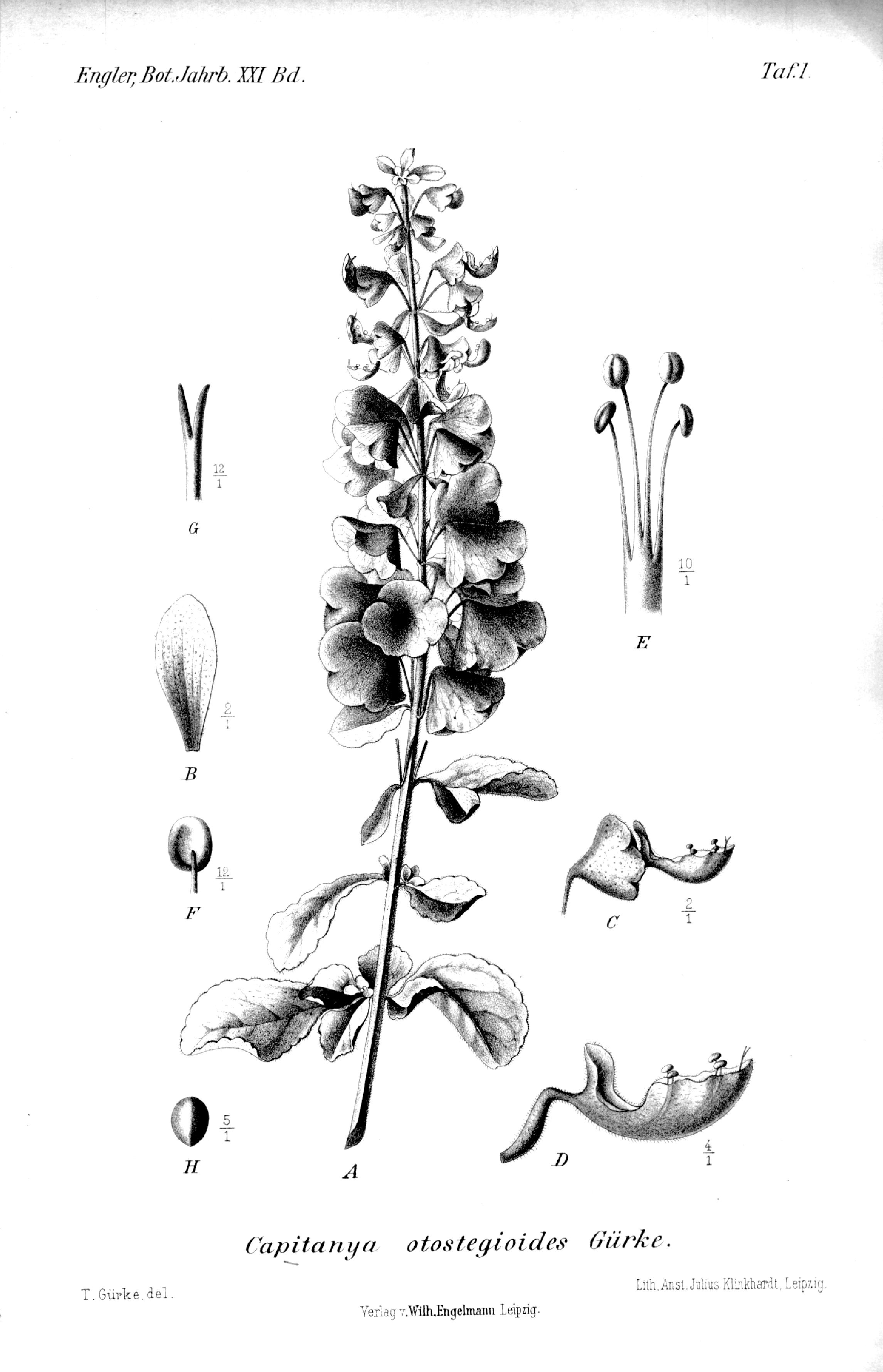 no full size  illustration available (3a)