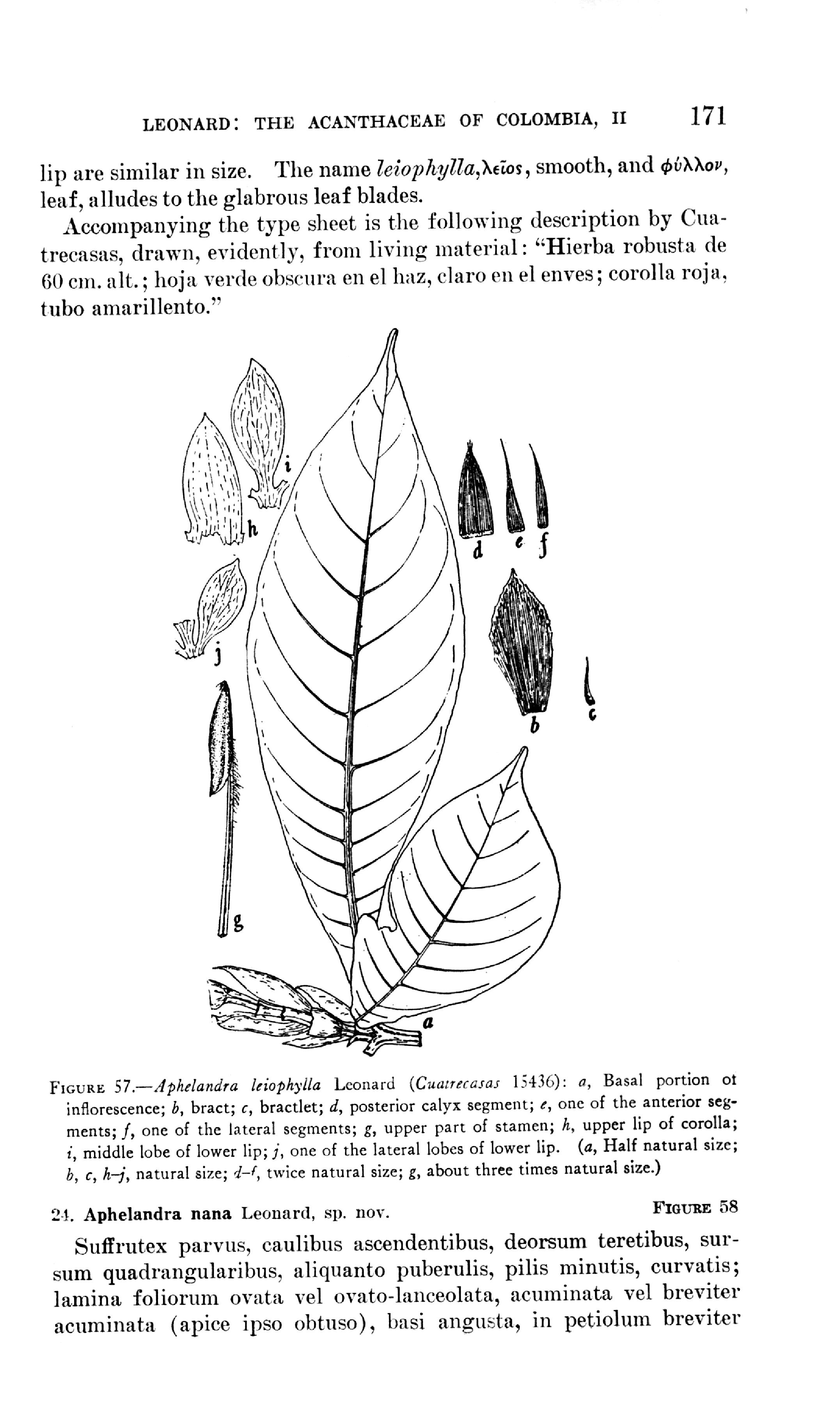 no full size  illustration available (3a)