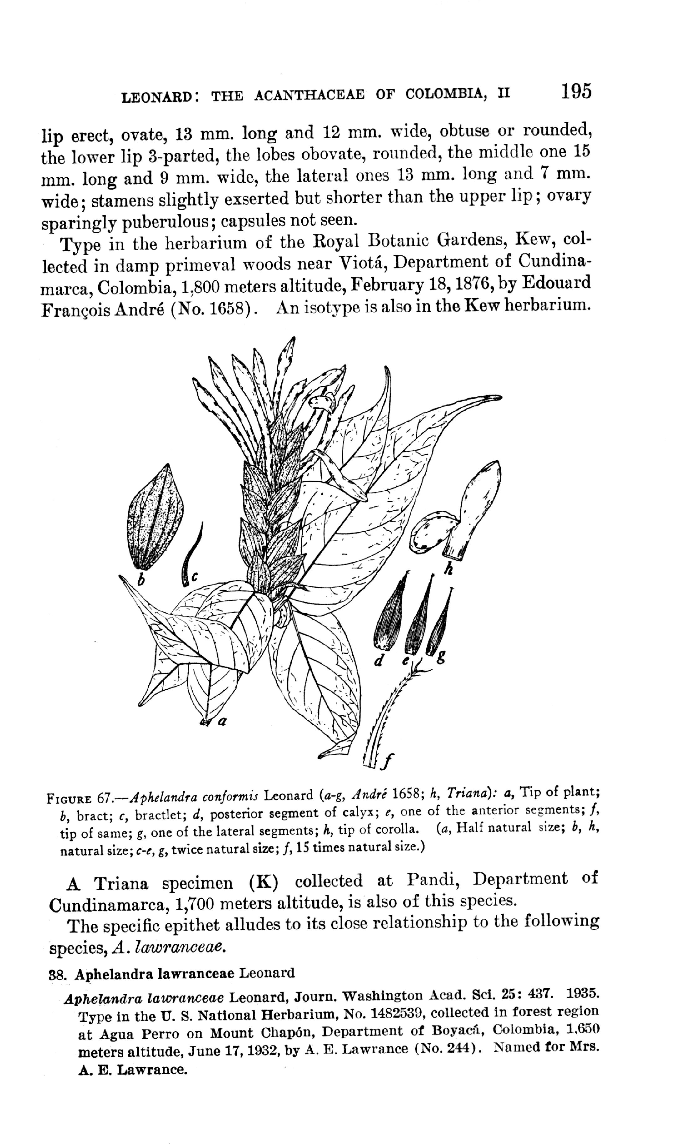 no full size  illustration available (3a)