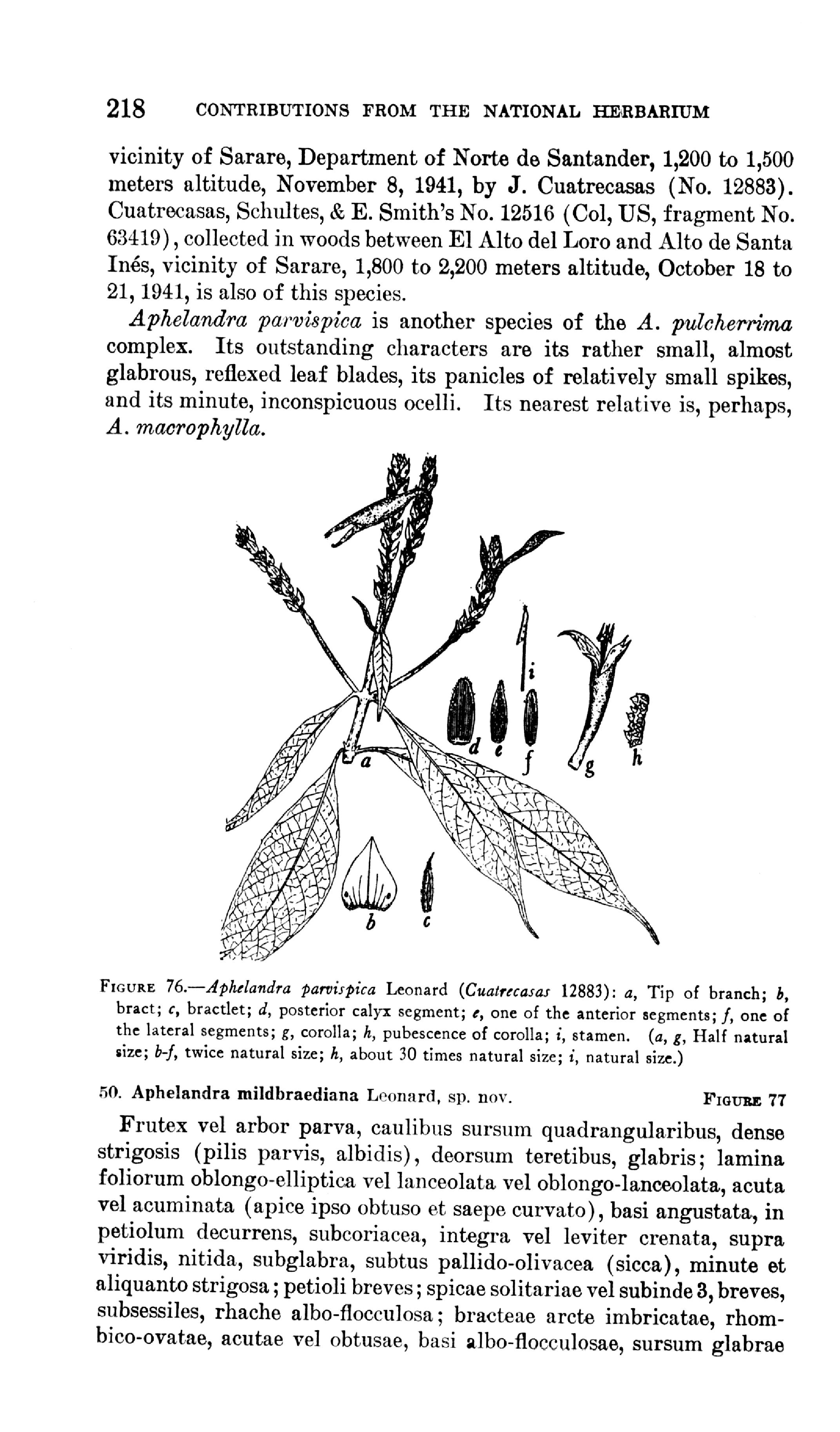 no full size  illustration available (3a)