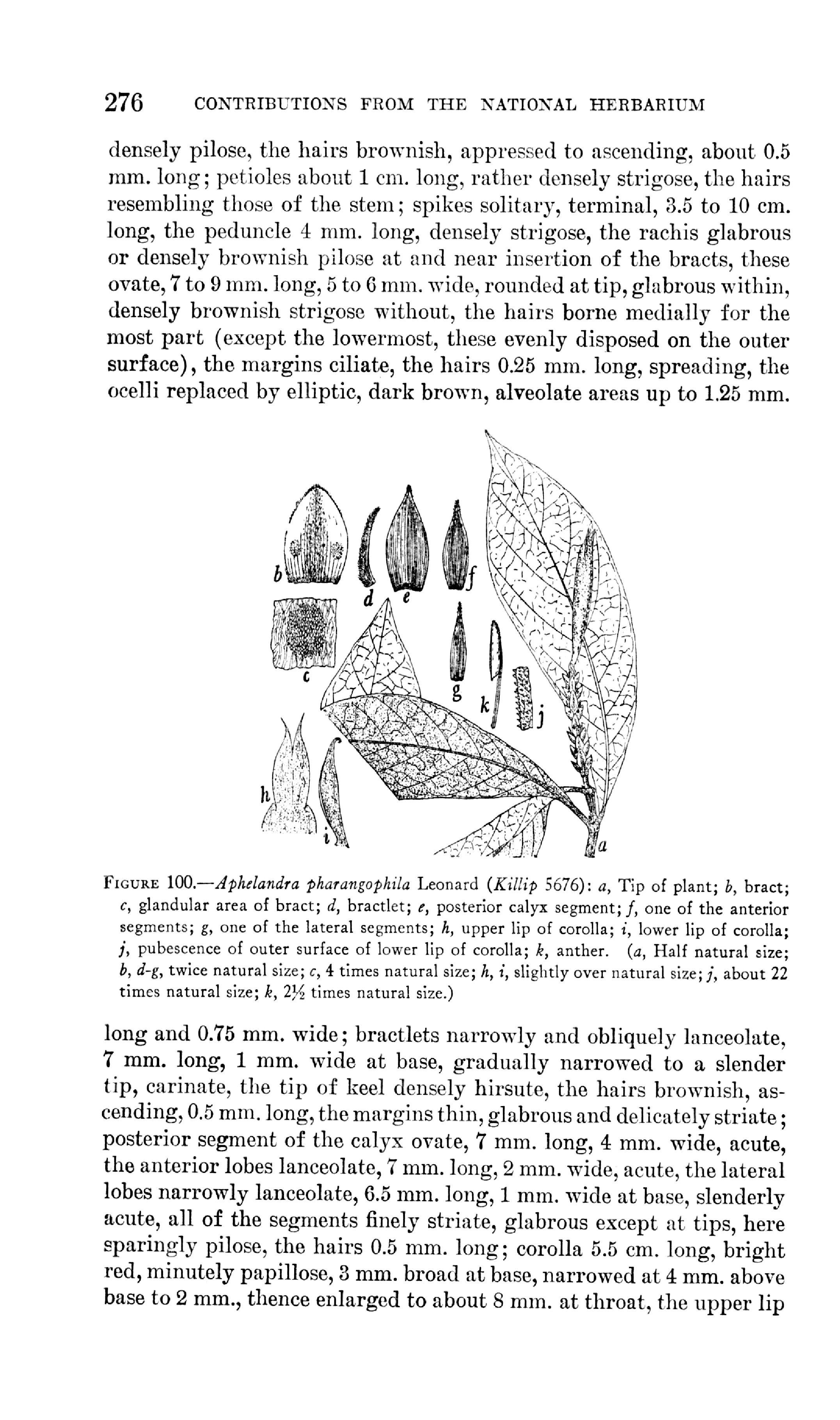 no full size  illustration available (3a)