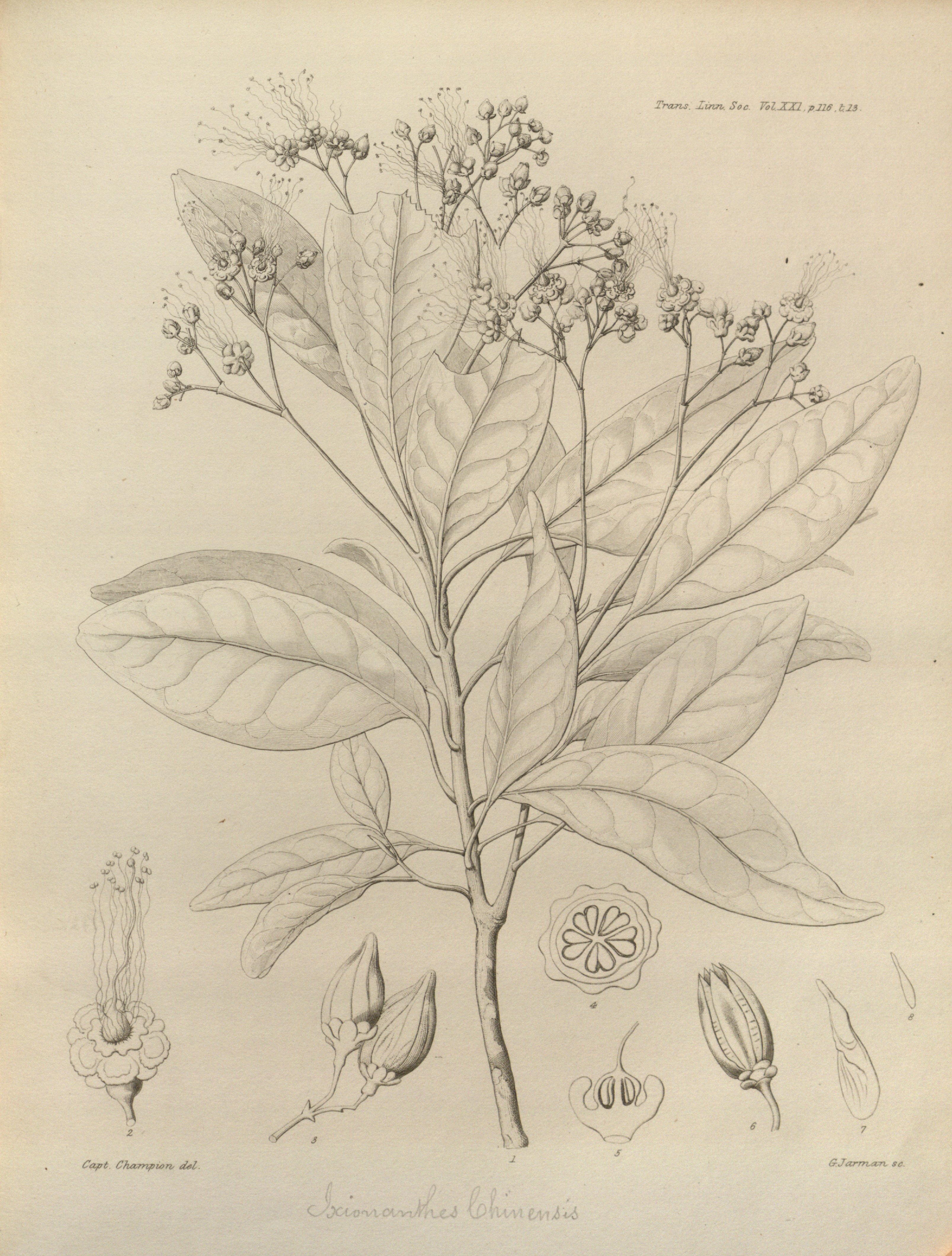 no full size  illustration available (3a)