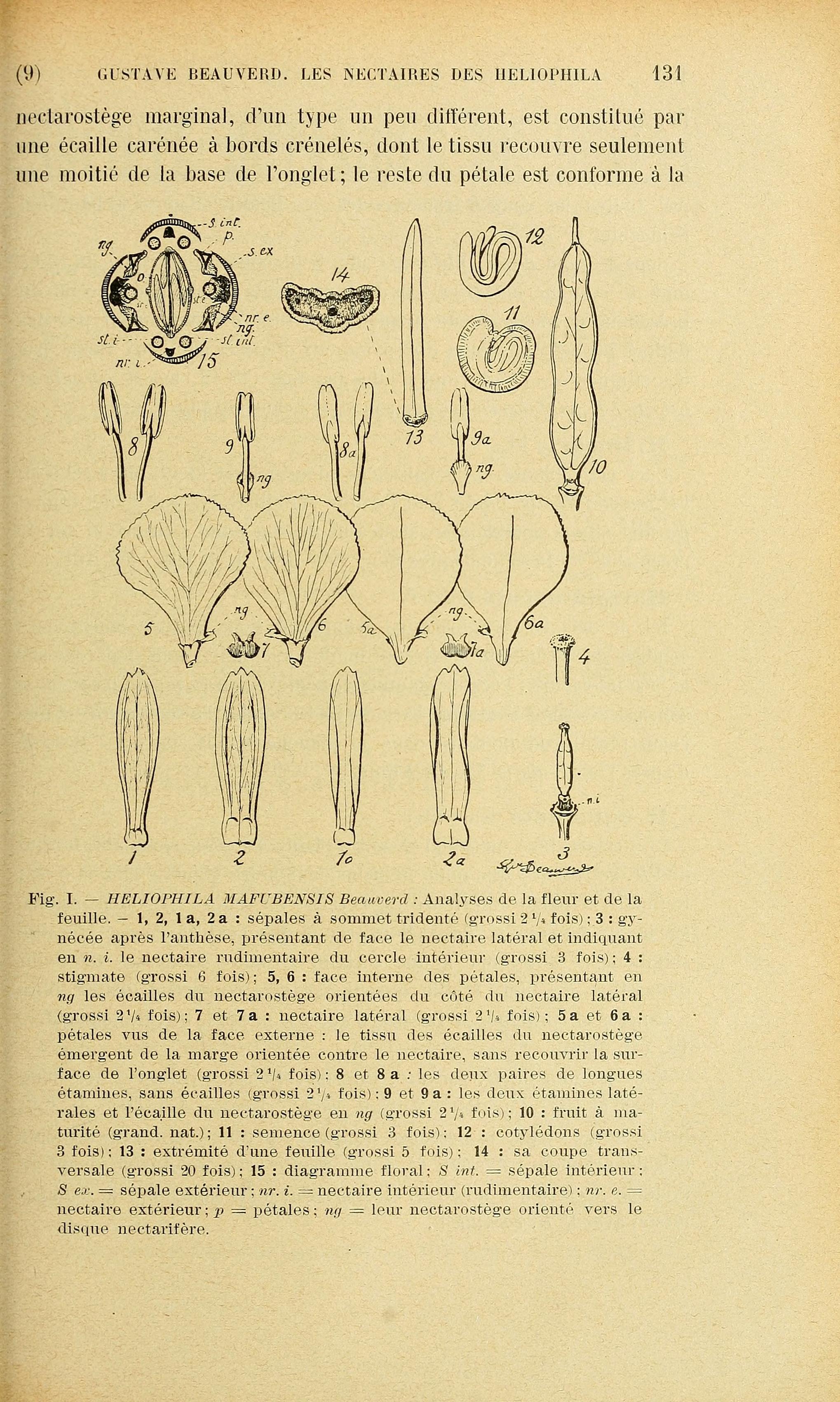 no full size  illustration available (3a)