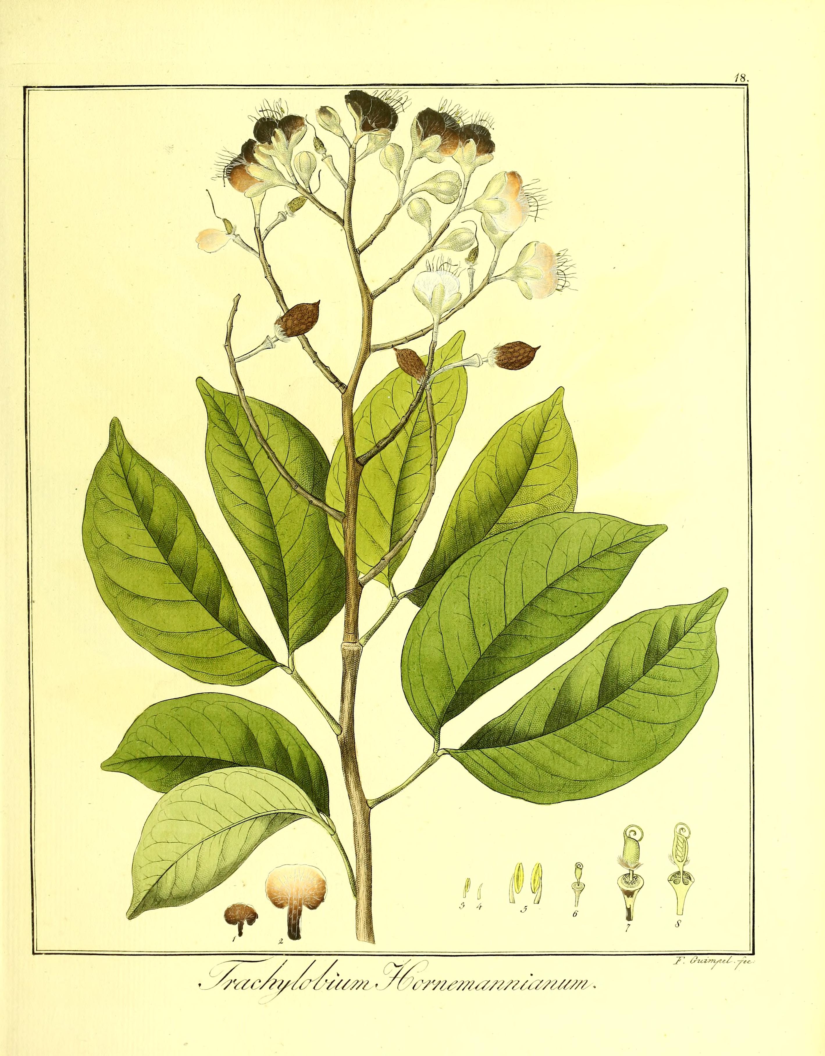 no full size  illustration available (3a)