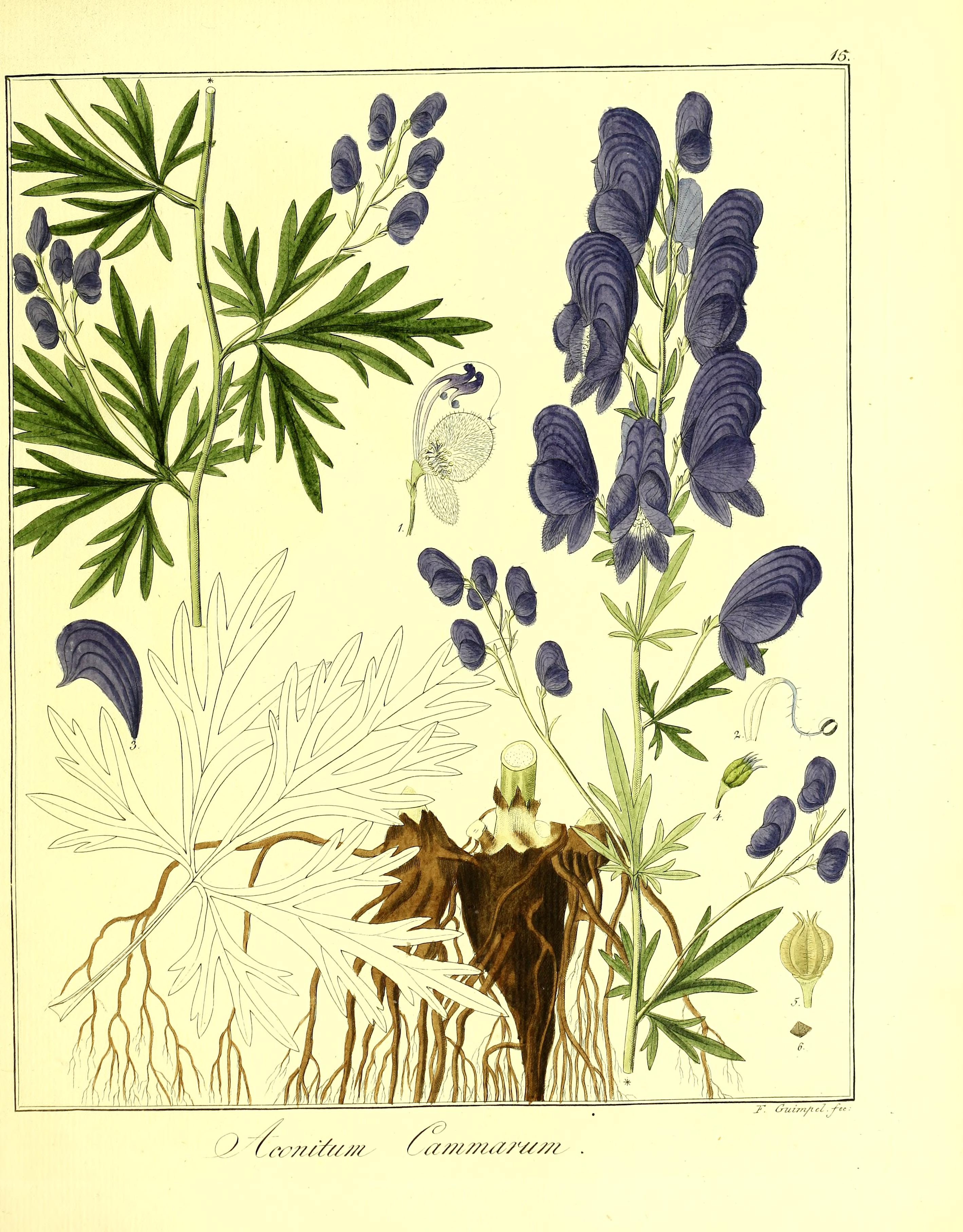 no full size  illustration available (3a)