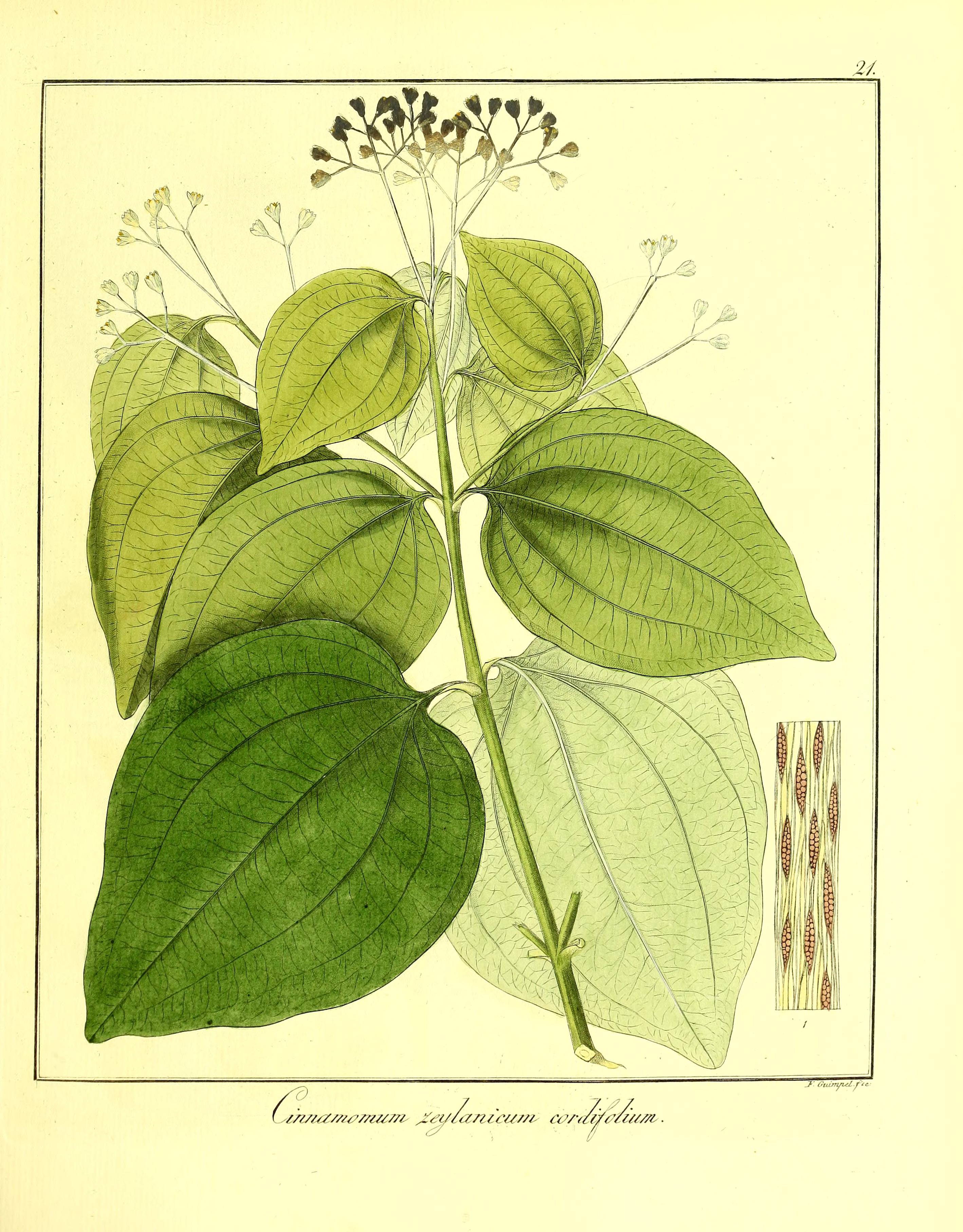 no full size  illustration available (3a)