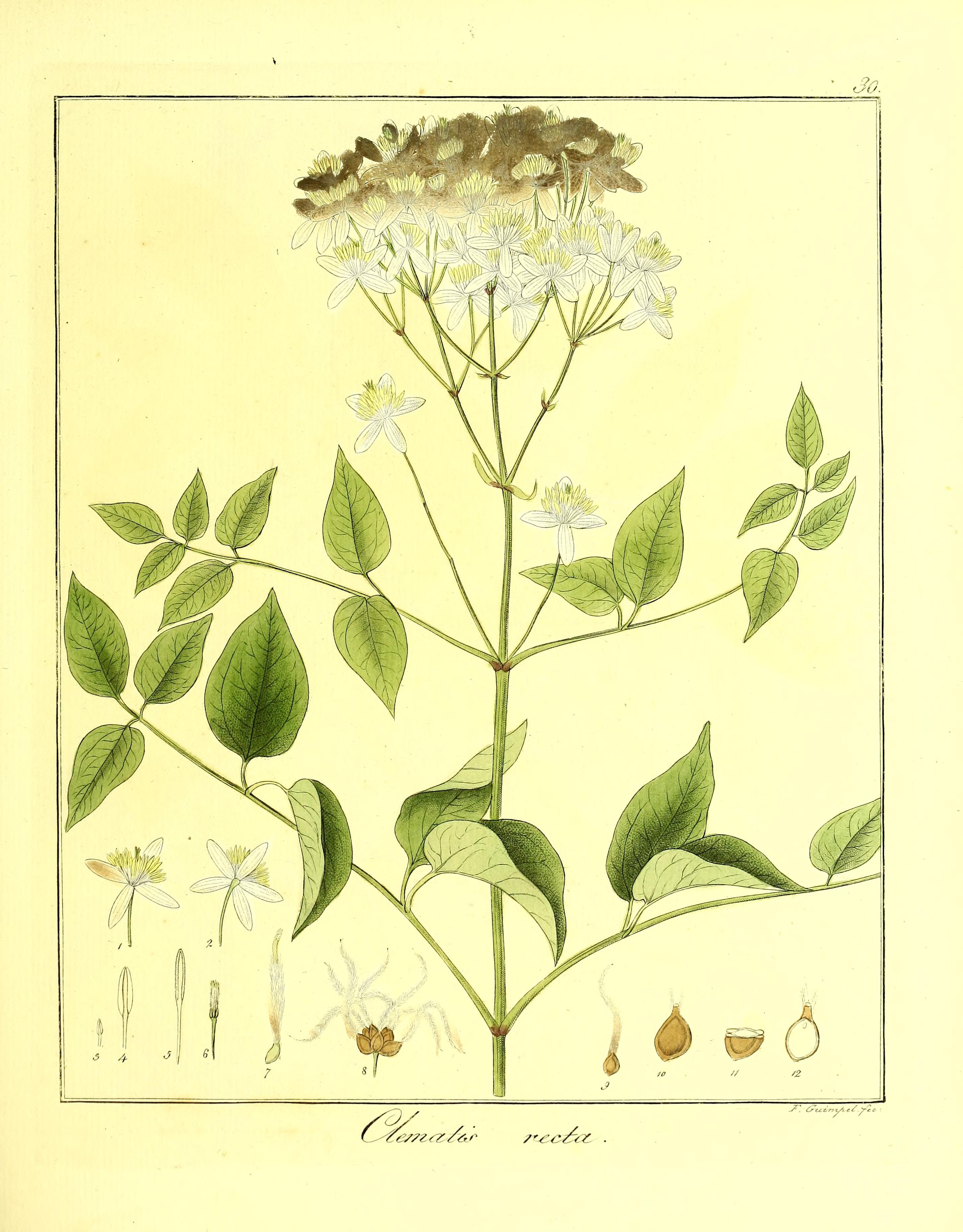 no full size  illustration available (3a)