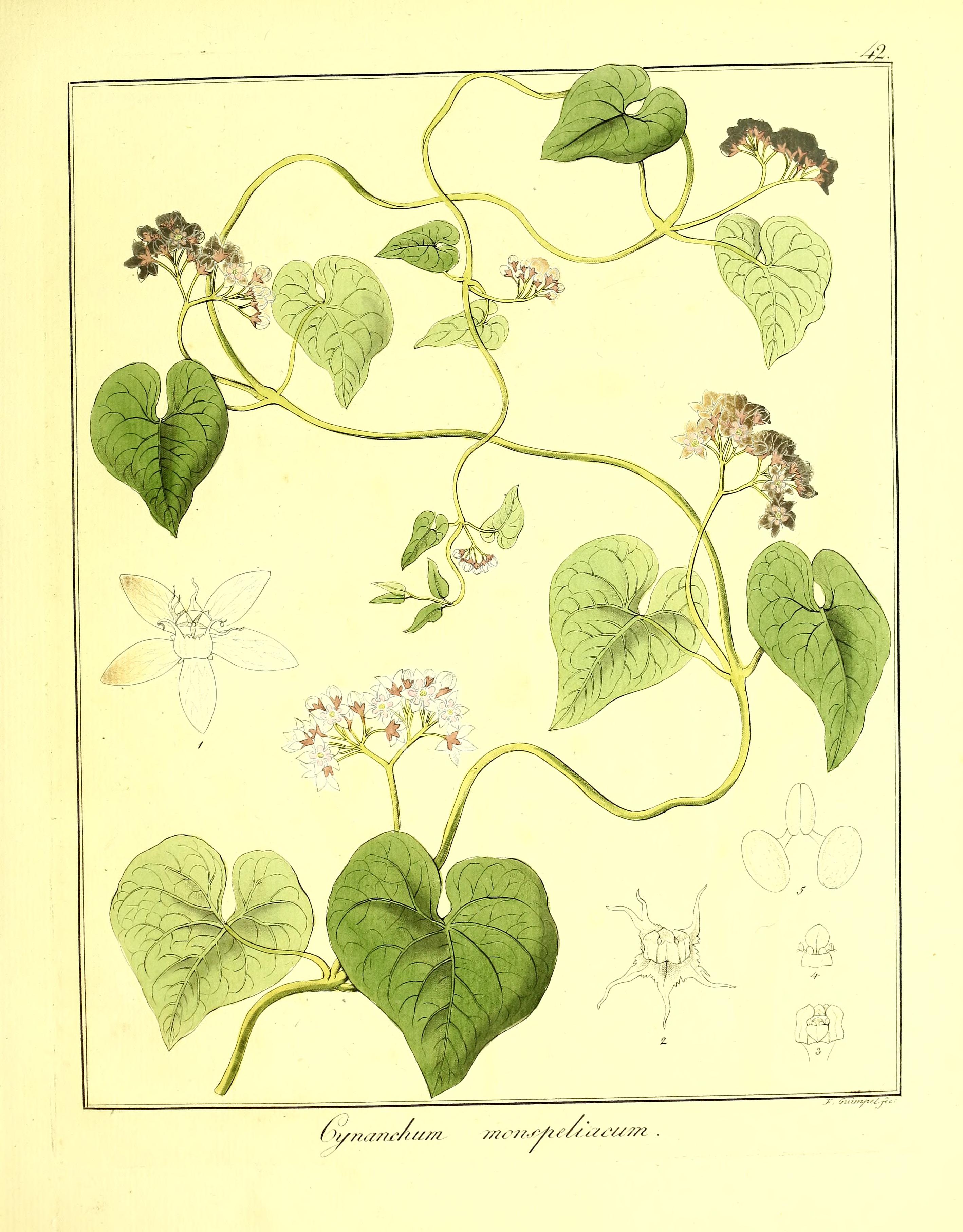 no full size  illustration available (3a)