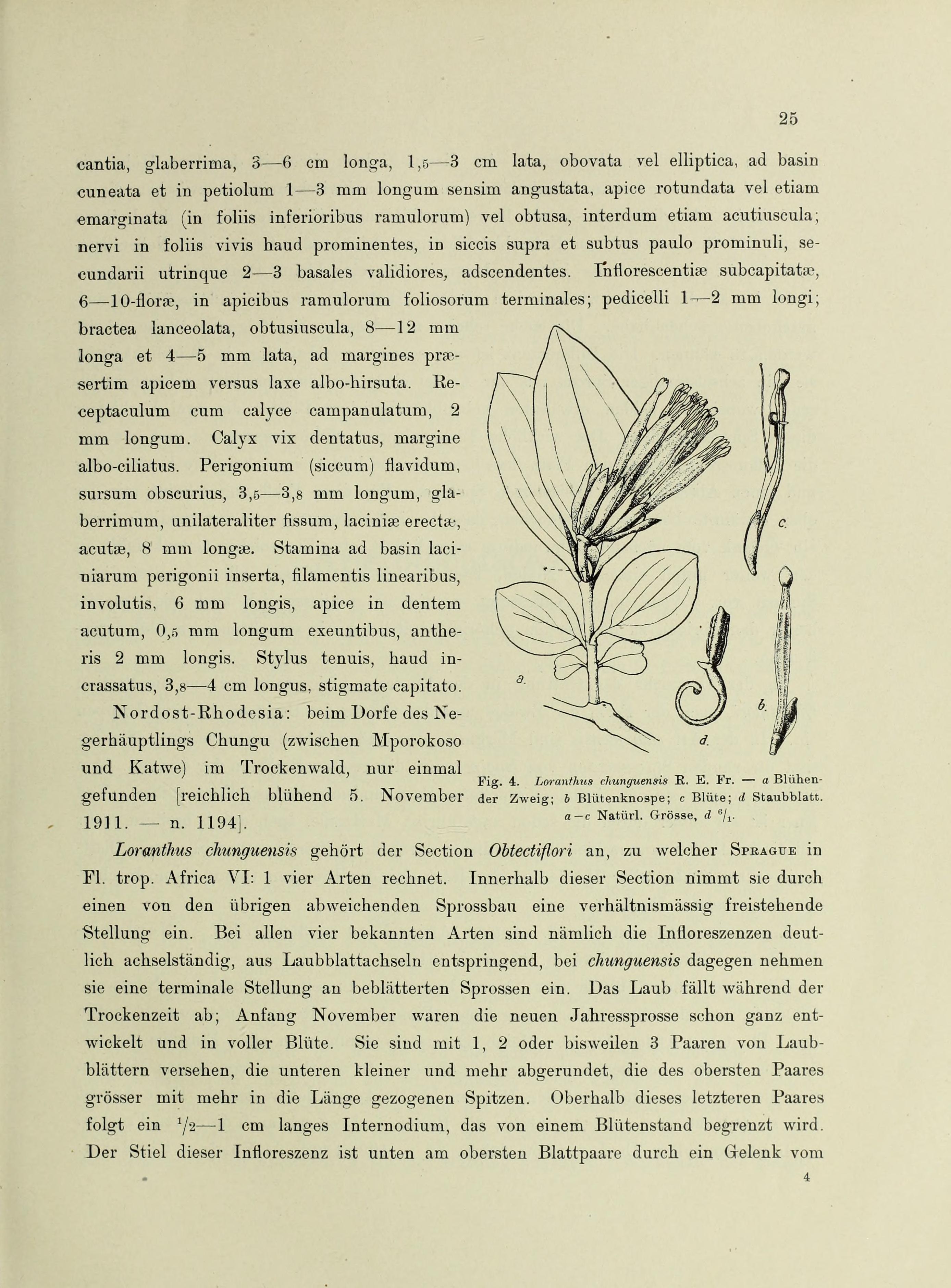 no full size  illustration available (3a)