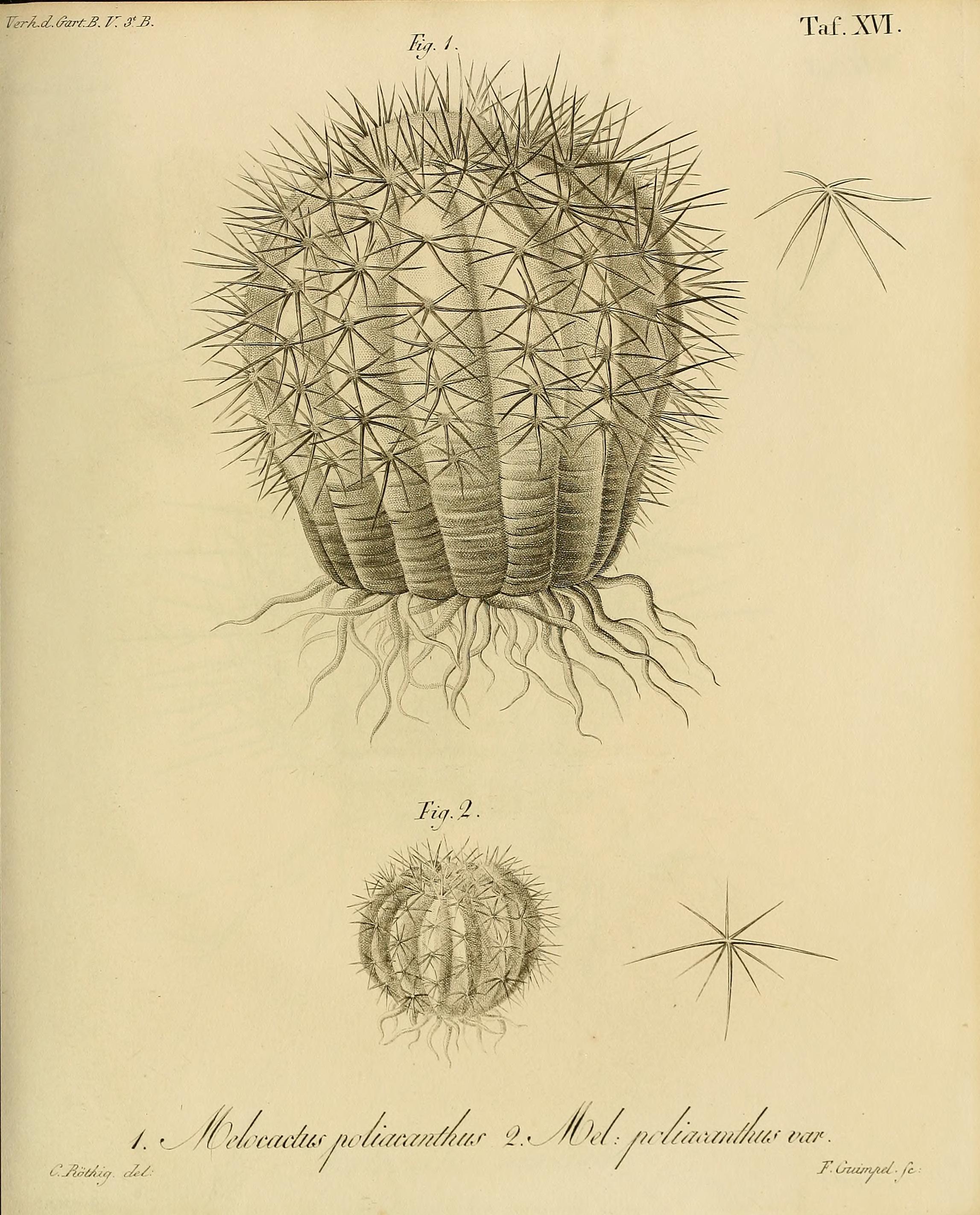 no full size  illustration available (3a)