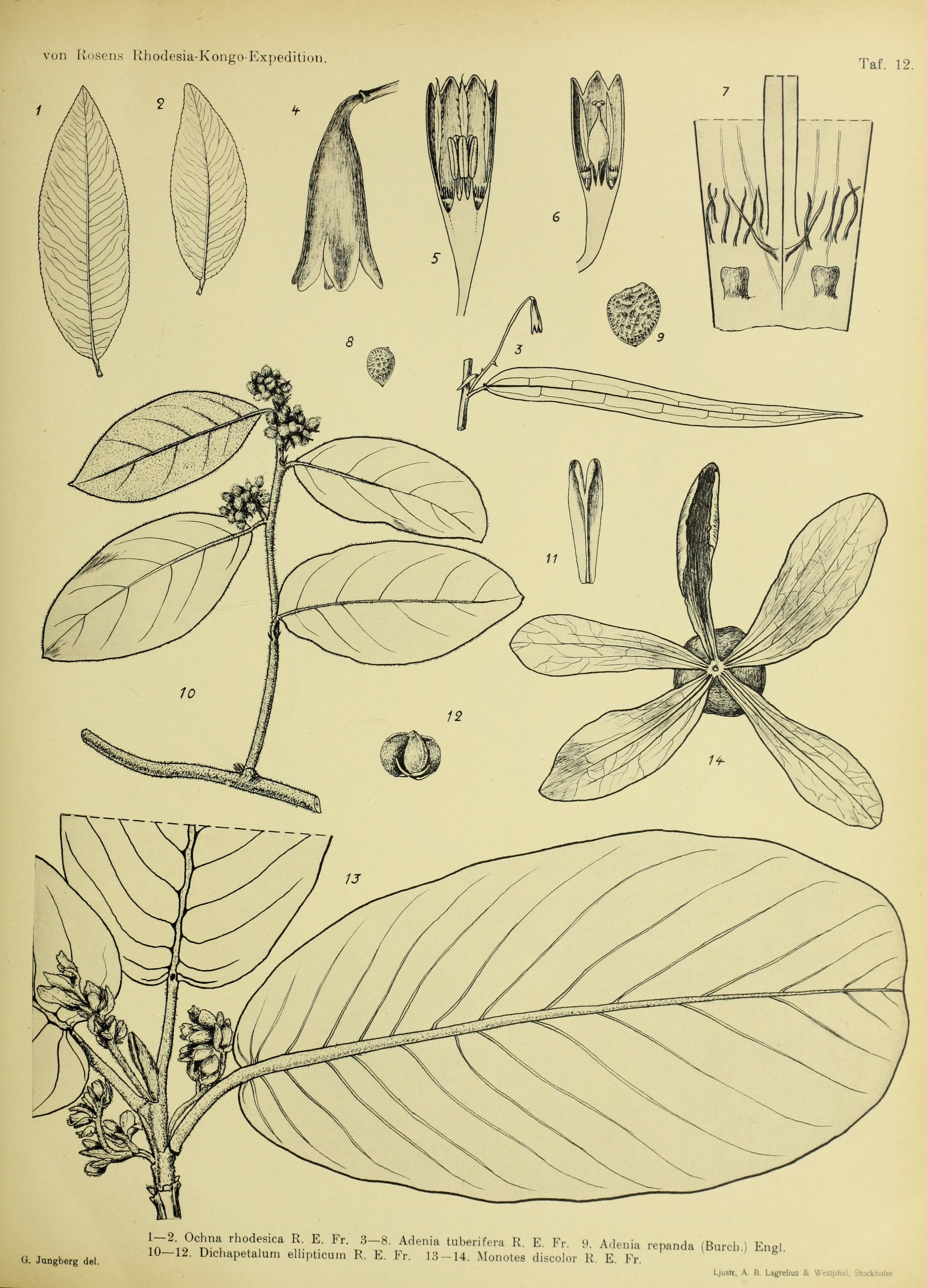 no full size  illustration available (3a)