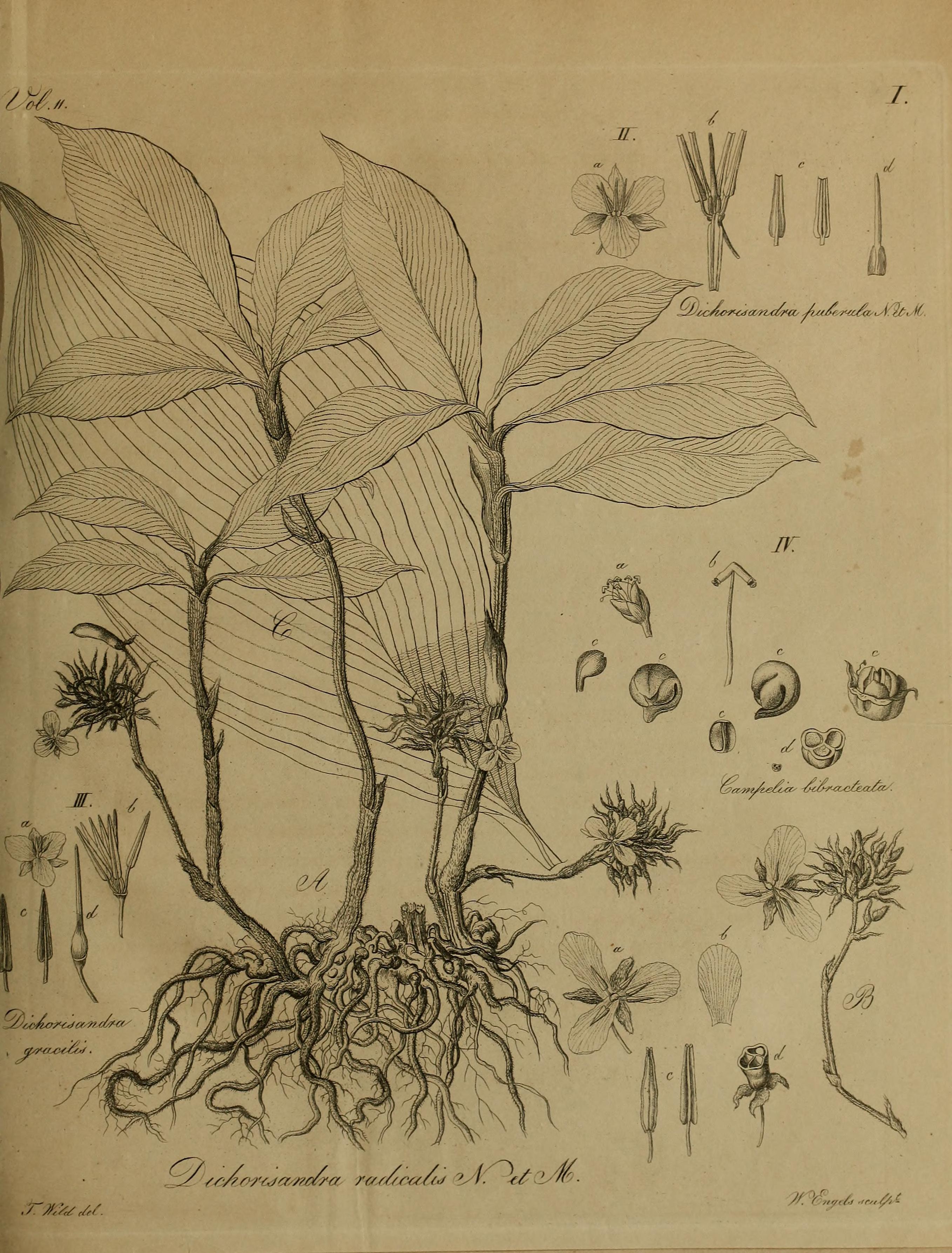 no full size  illustration available (3a)