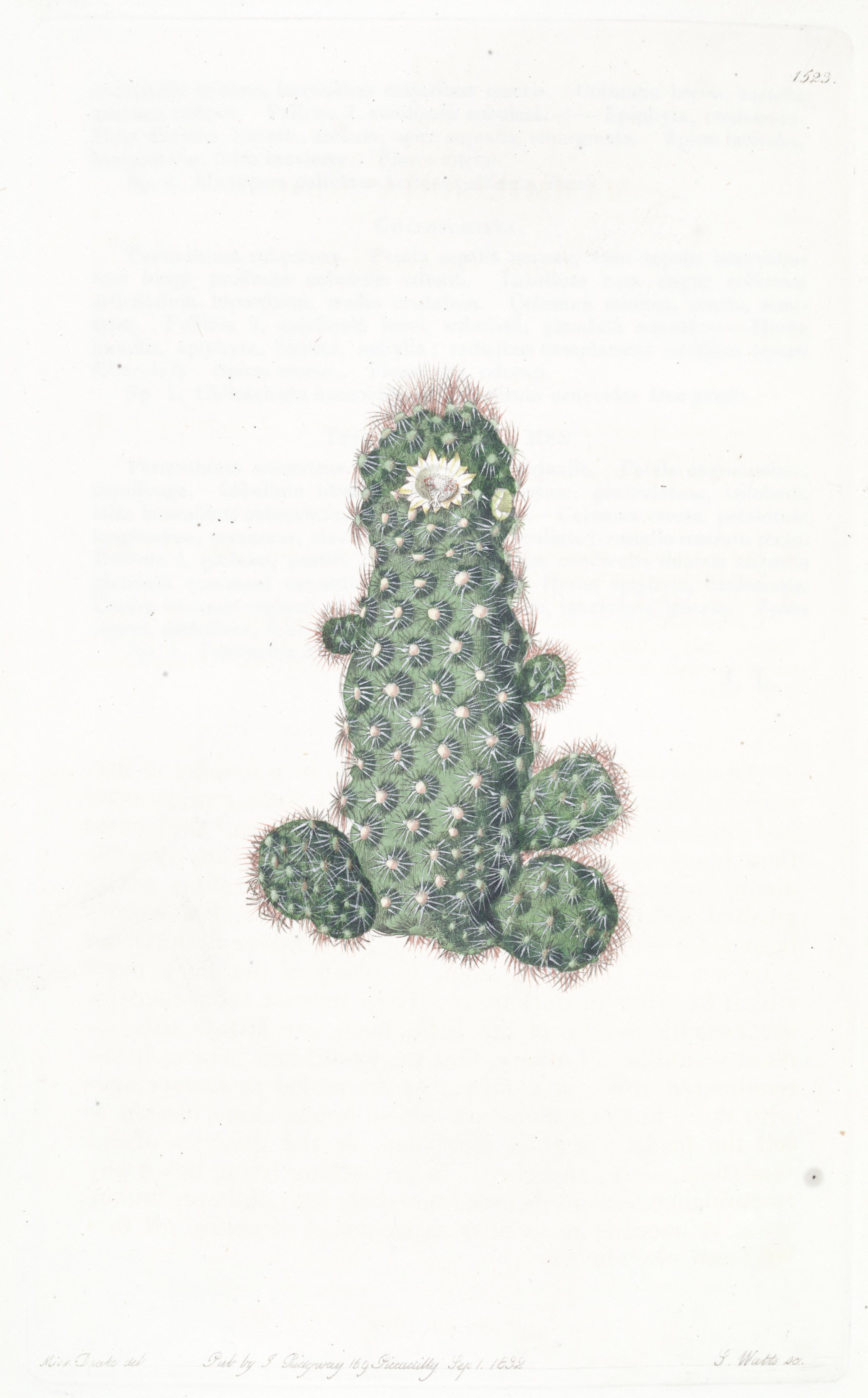 no full size  illustration available (3a)