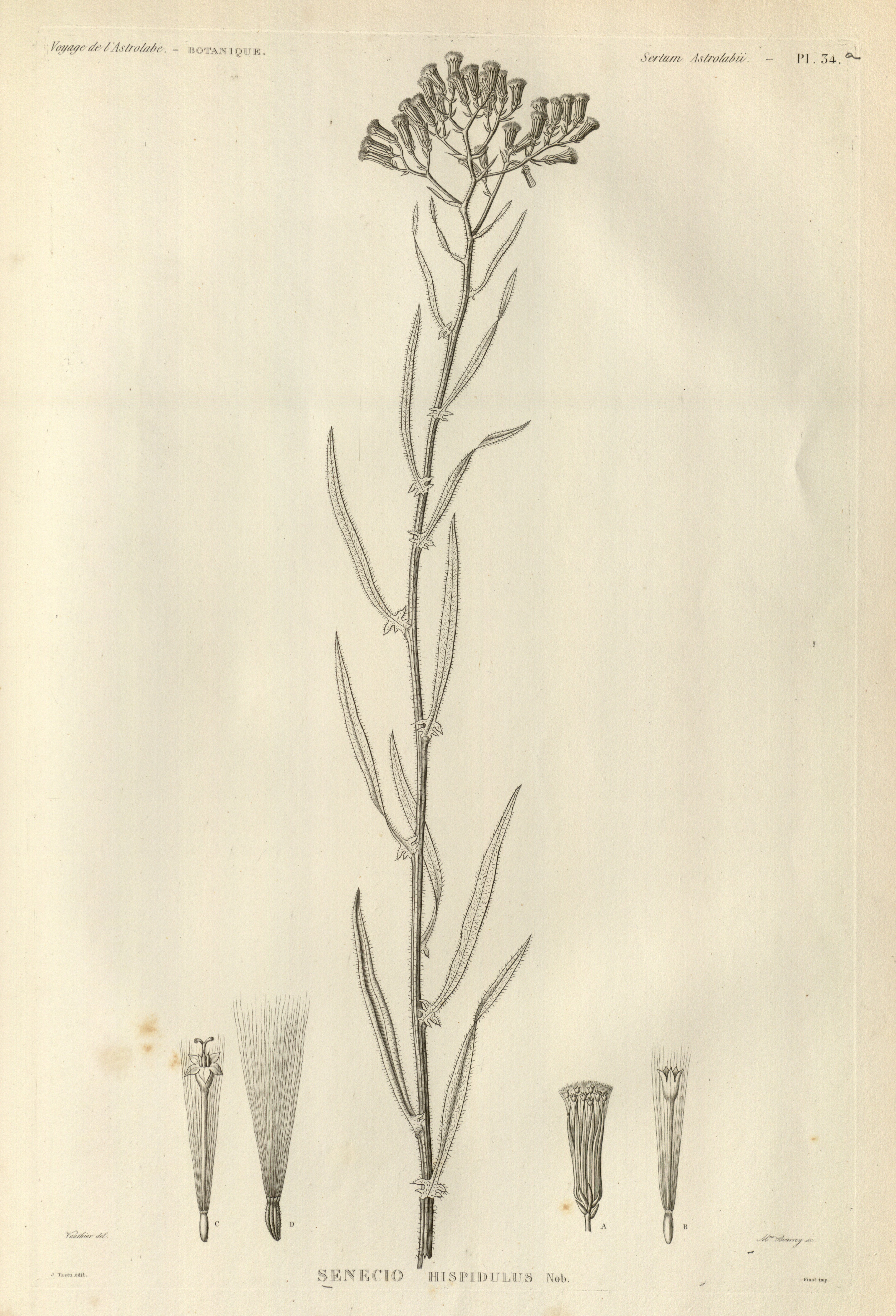 no full size  illustration available (3a)