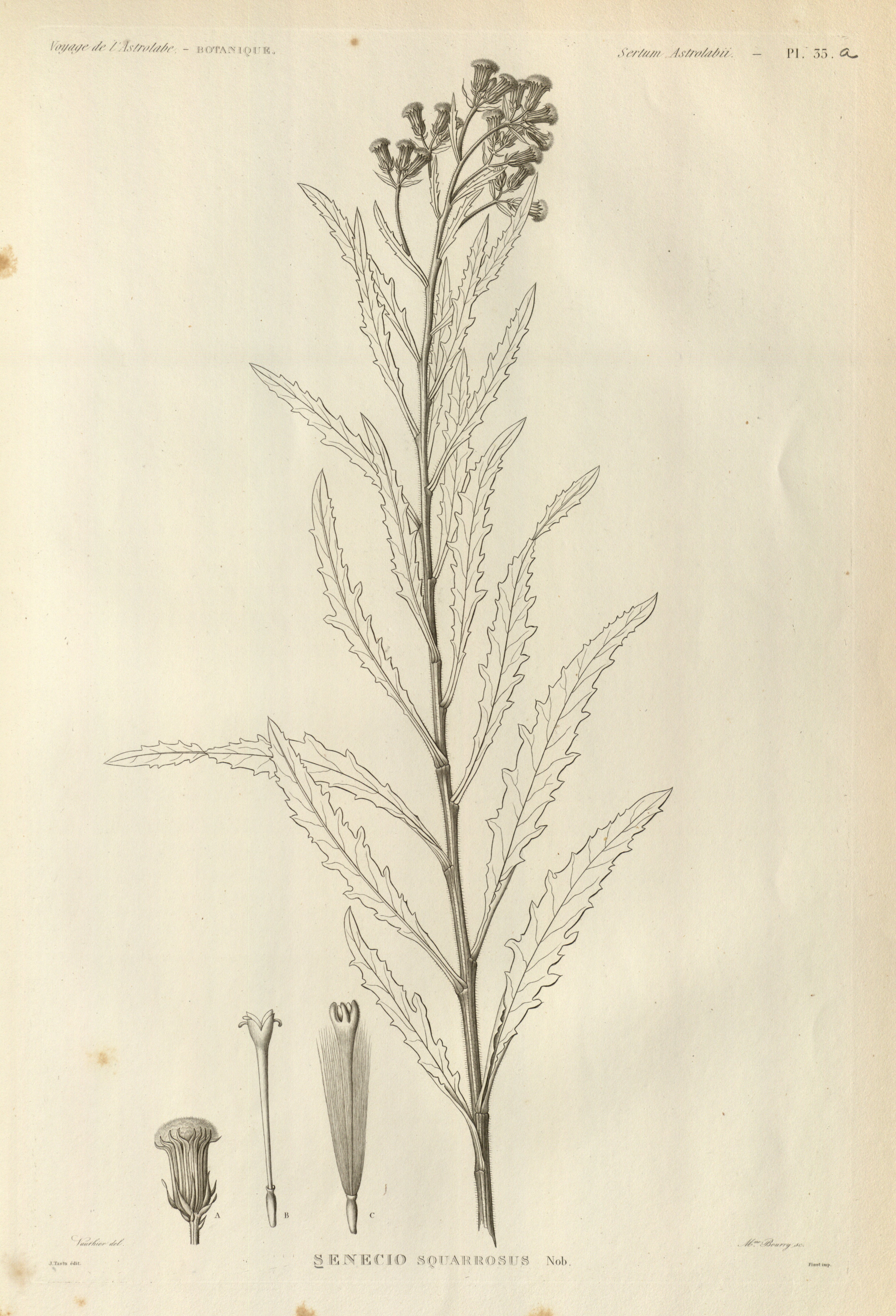 no full size  illustration available (3a)