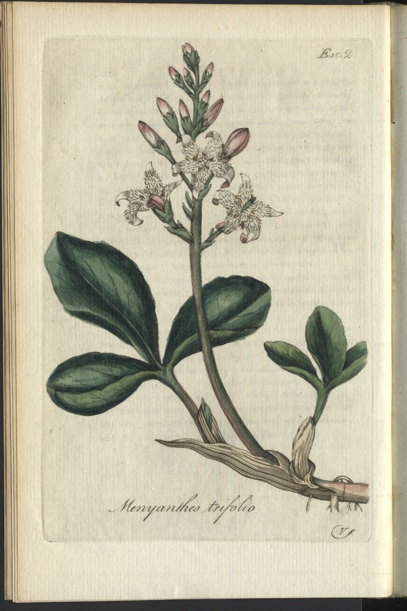 no full size  illustration available (3a)