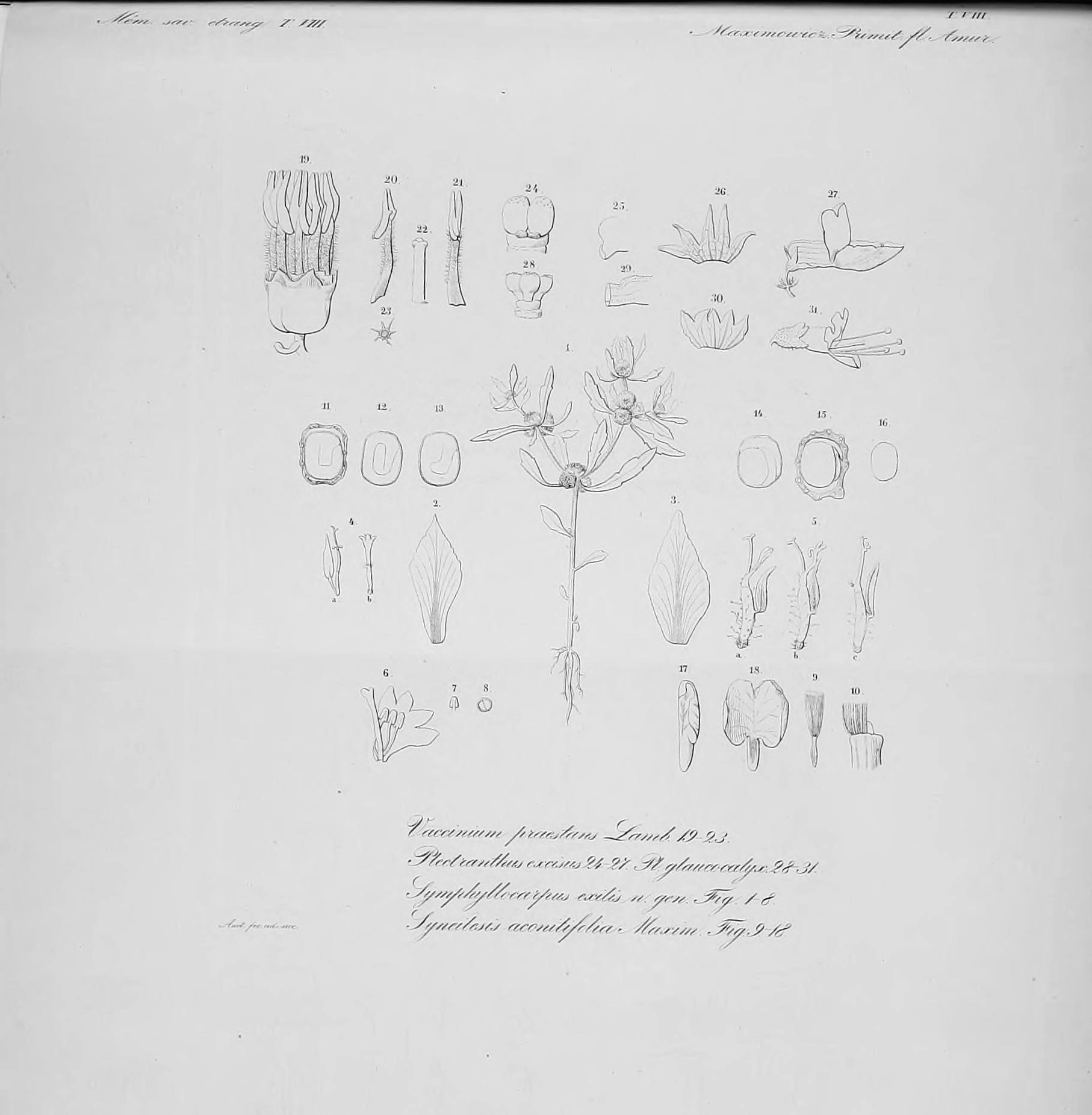 no full size  illustration available (3a)