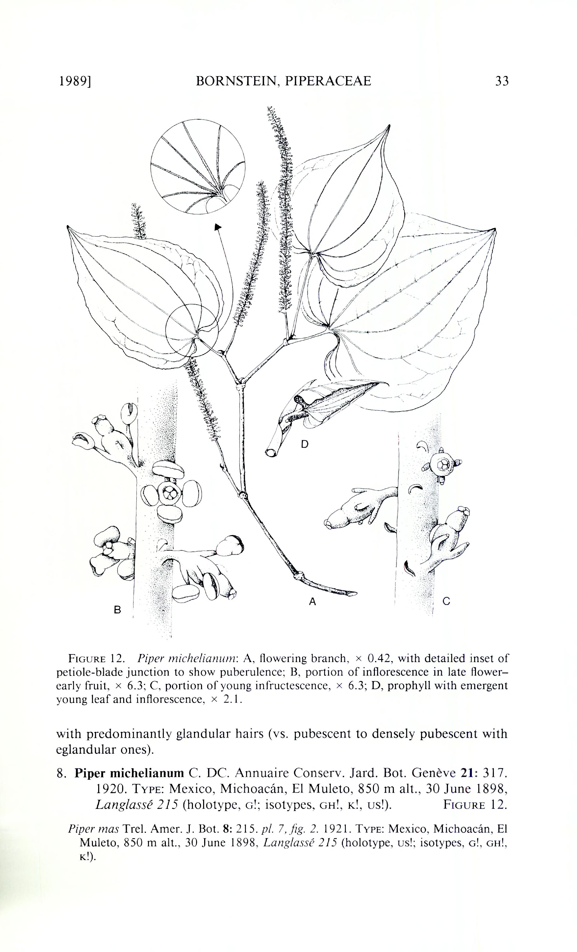 no full size  illustration available (3a)