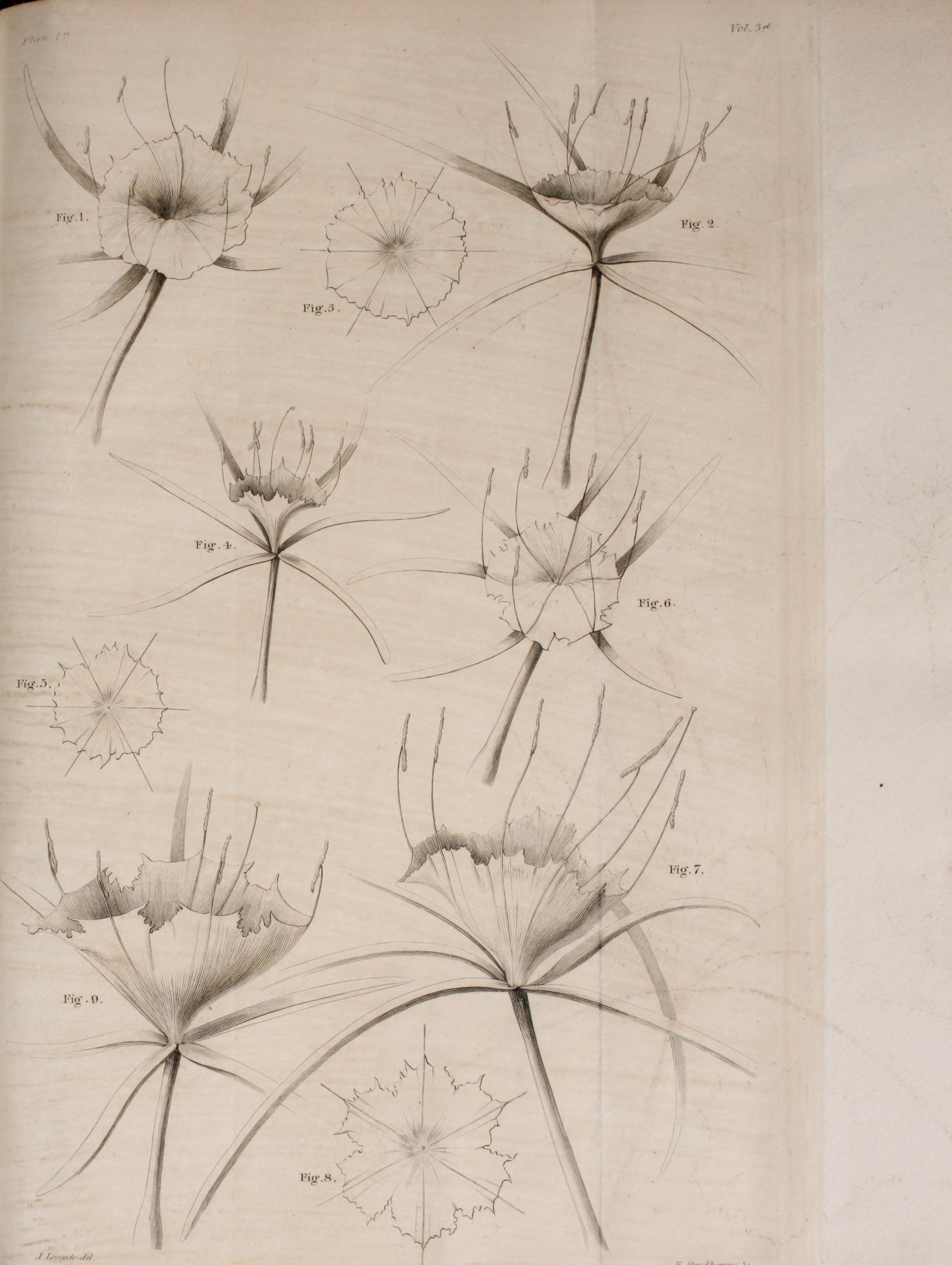 no full size  illustration available (3a)