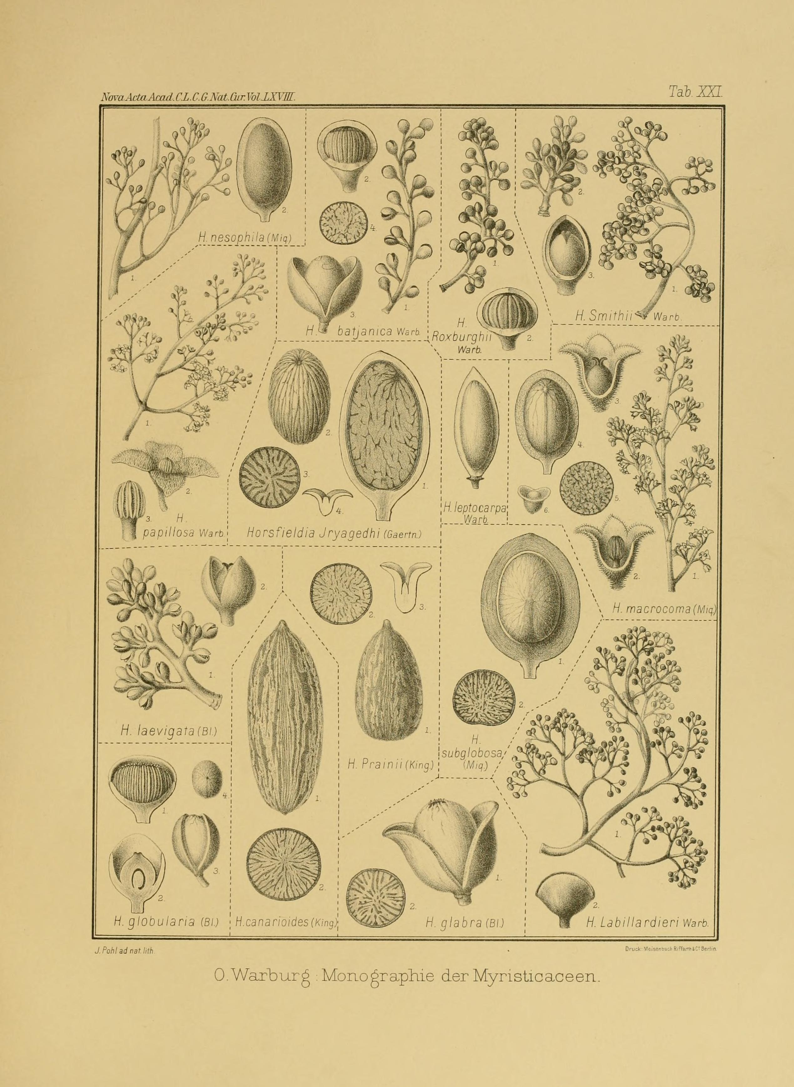 no full size  illustration available (3a)