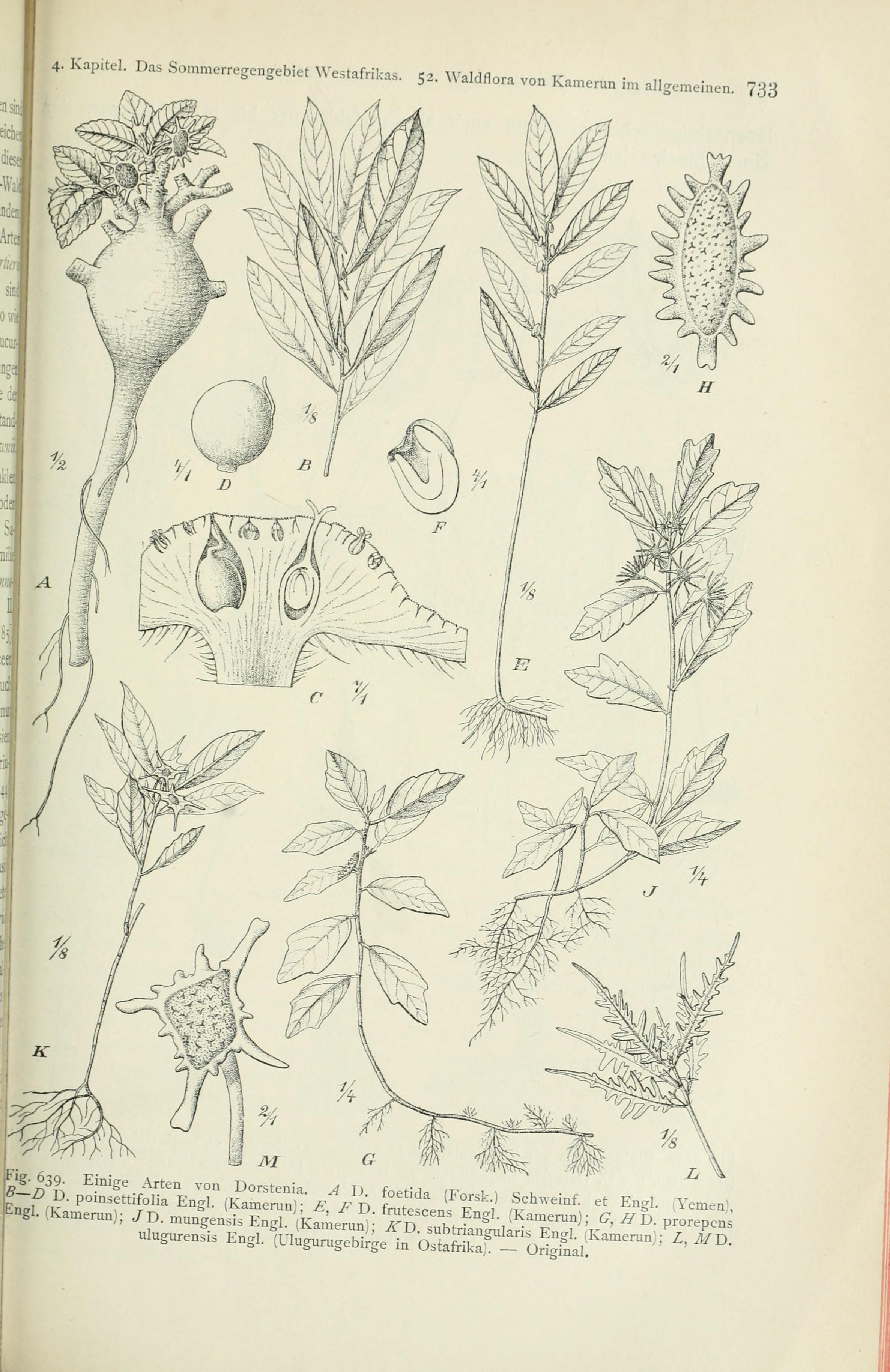 no full size  illustration available (3a)