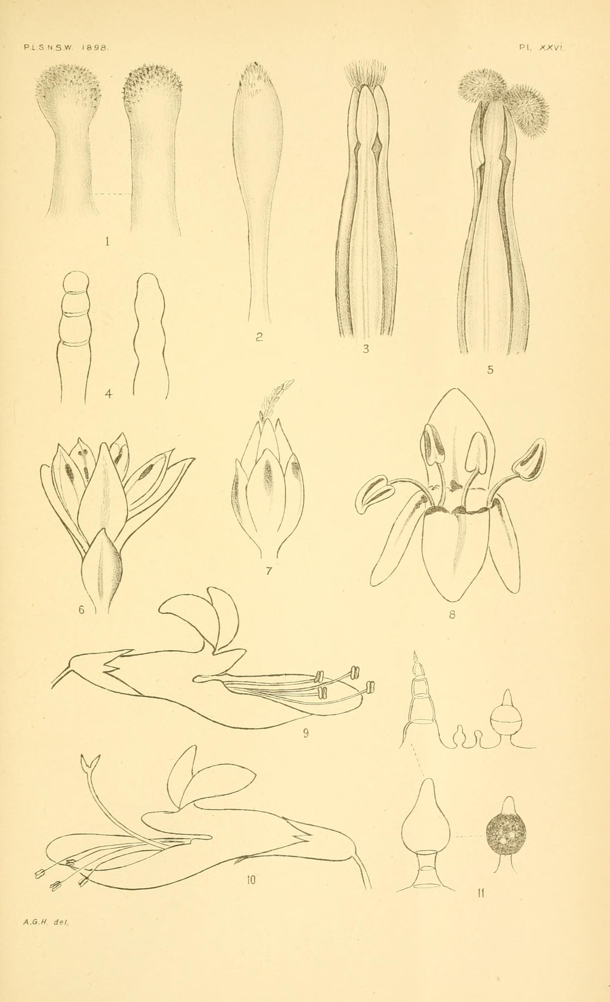 no full size  illustration available (3a)