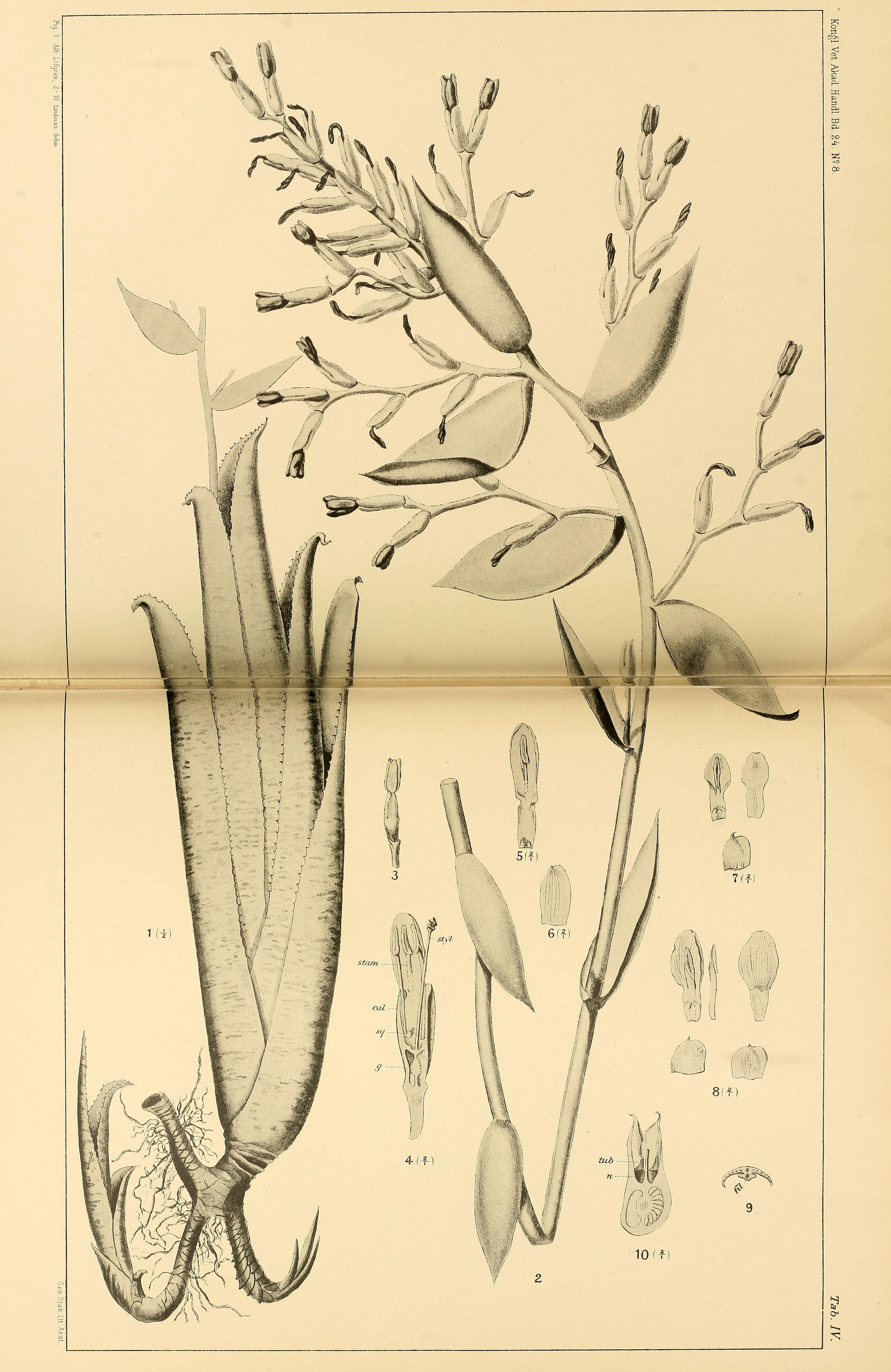 no full size  illustration available (3a)