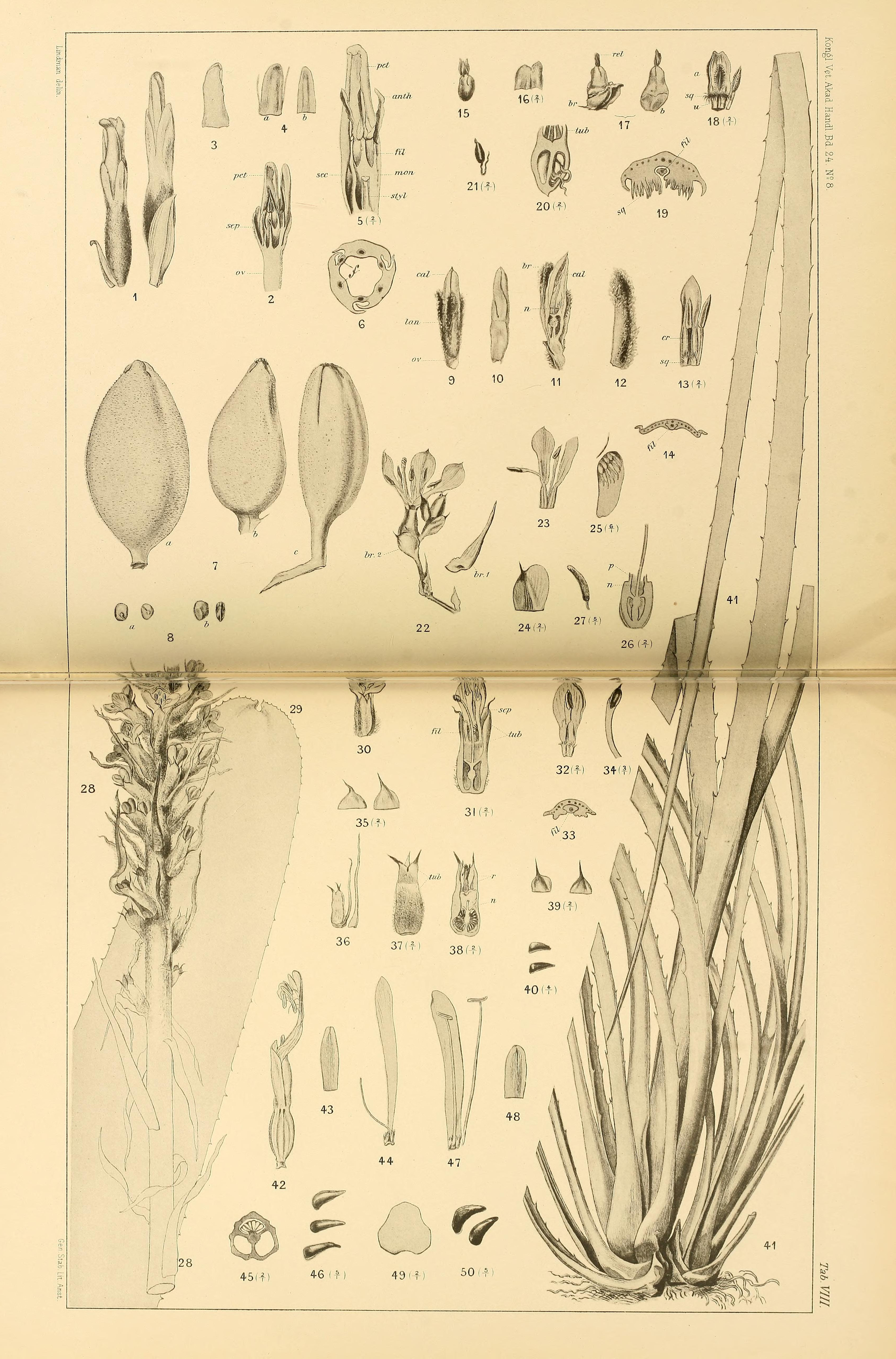 no full size  illustration available (3a)