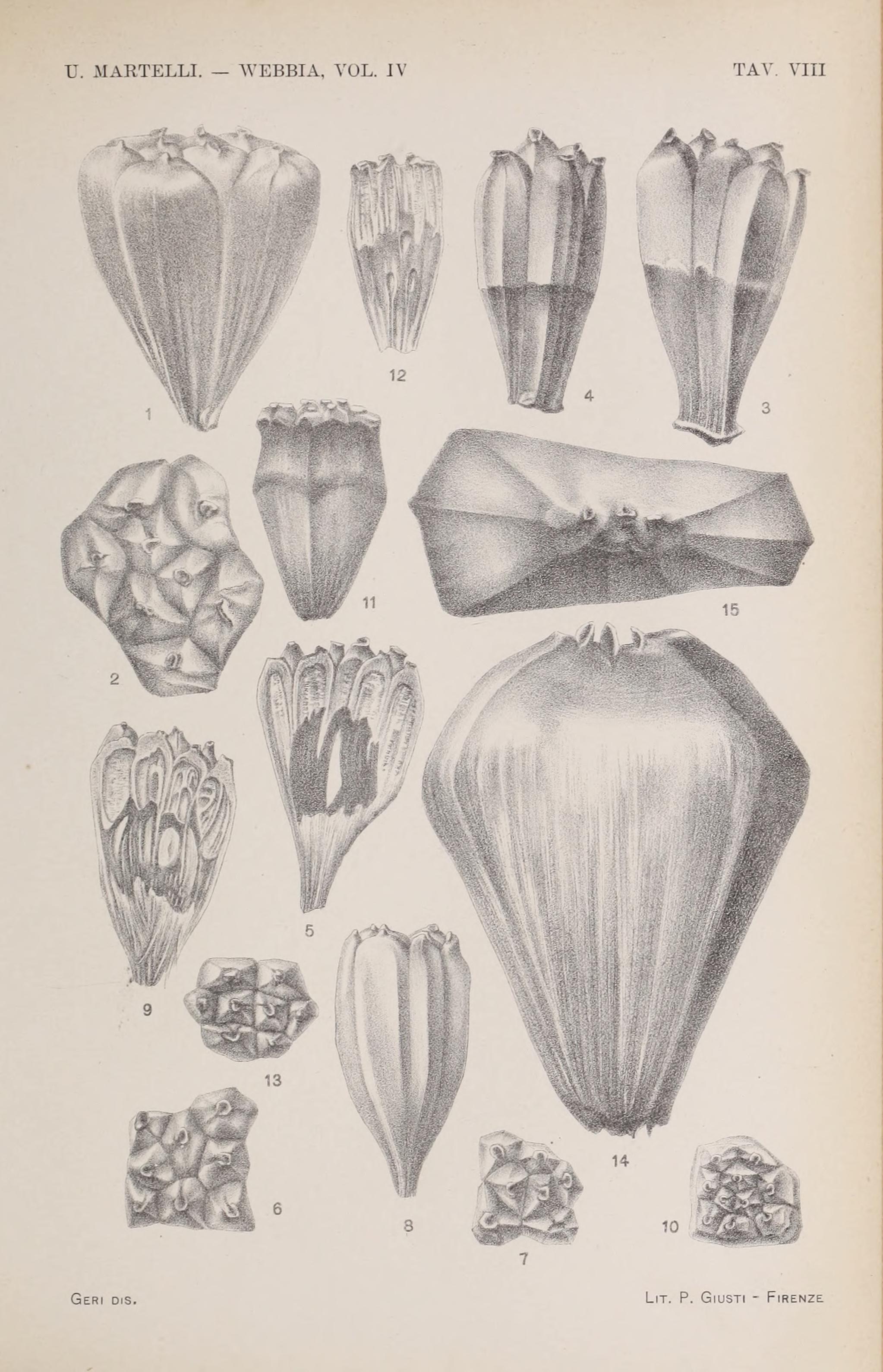 no full size  illustration available (3a)